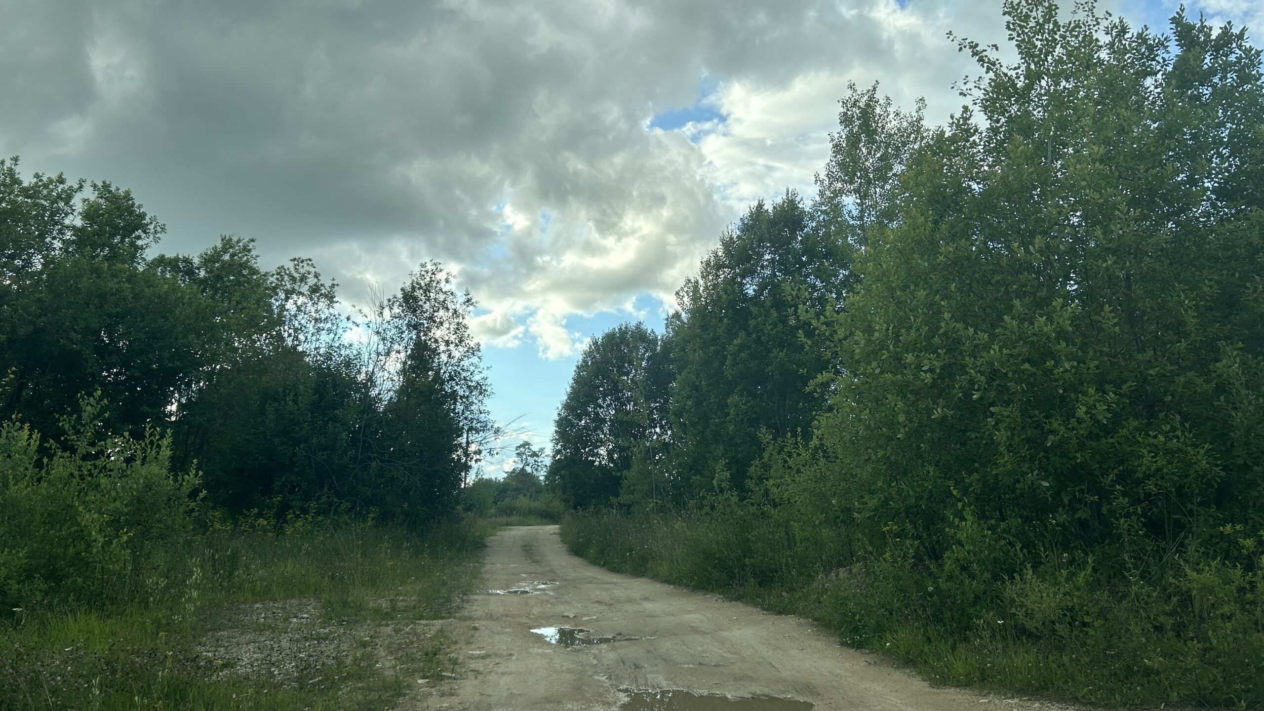 Фотография объекта