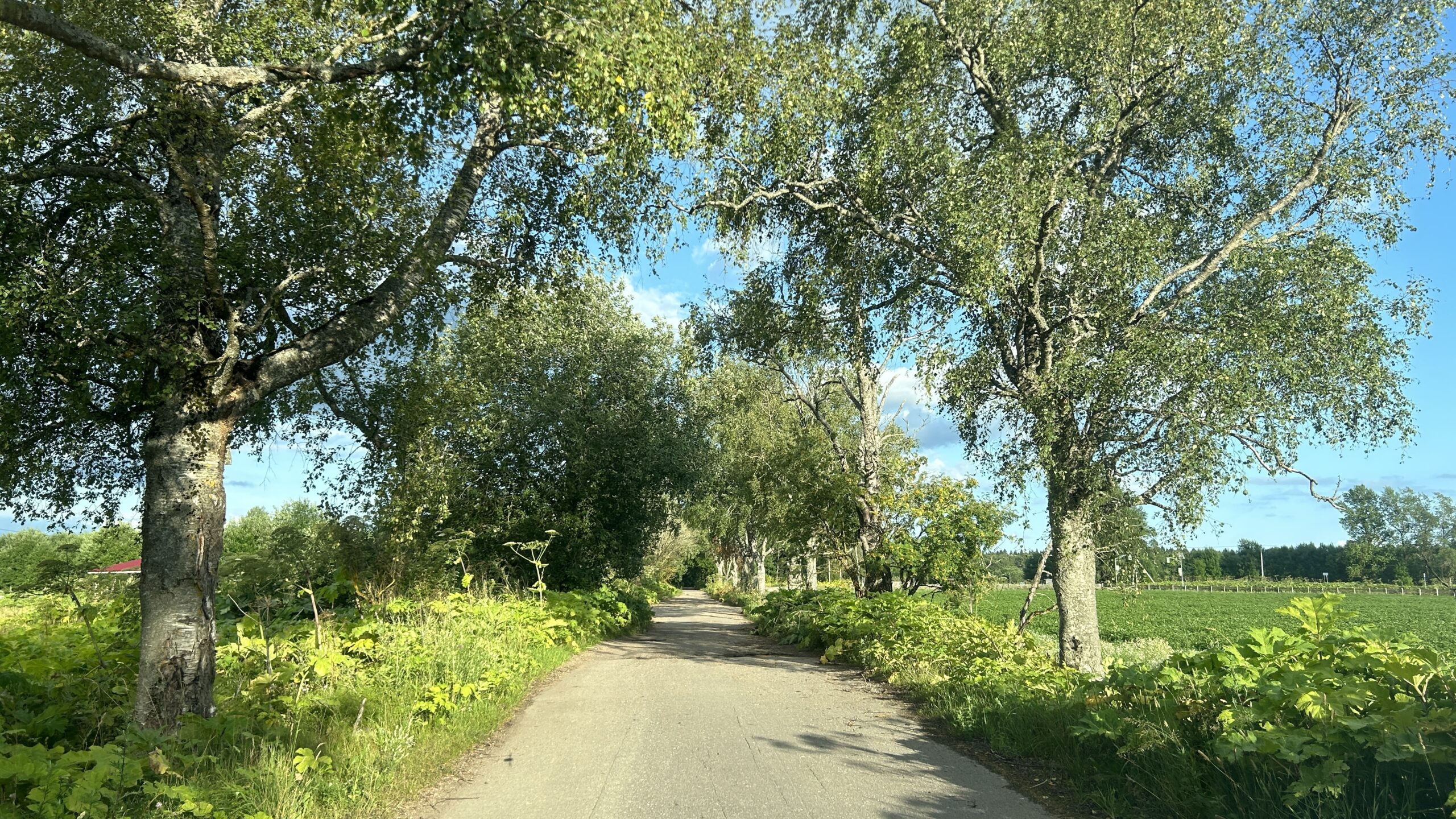 Фотография объекта