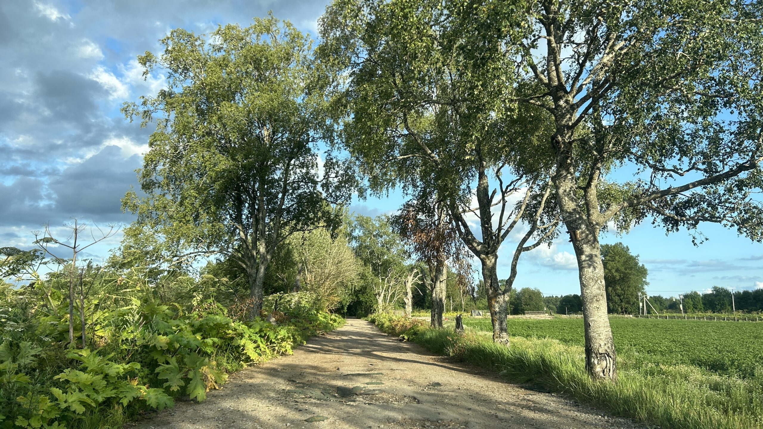 Фотография объекта