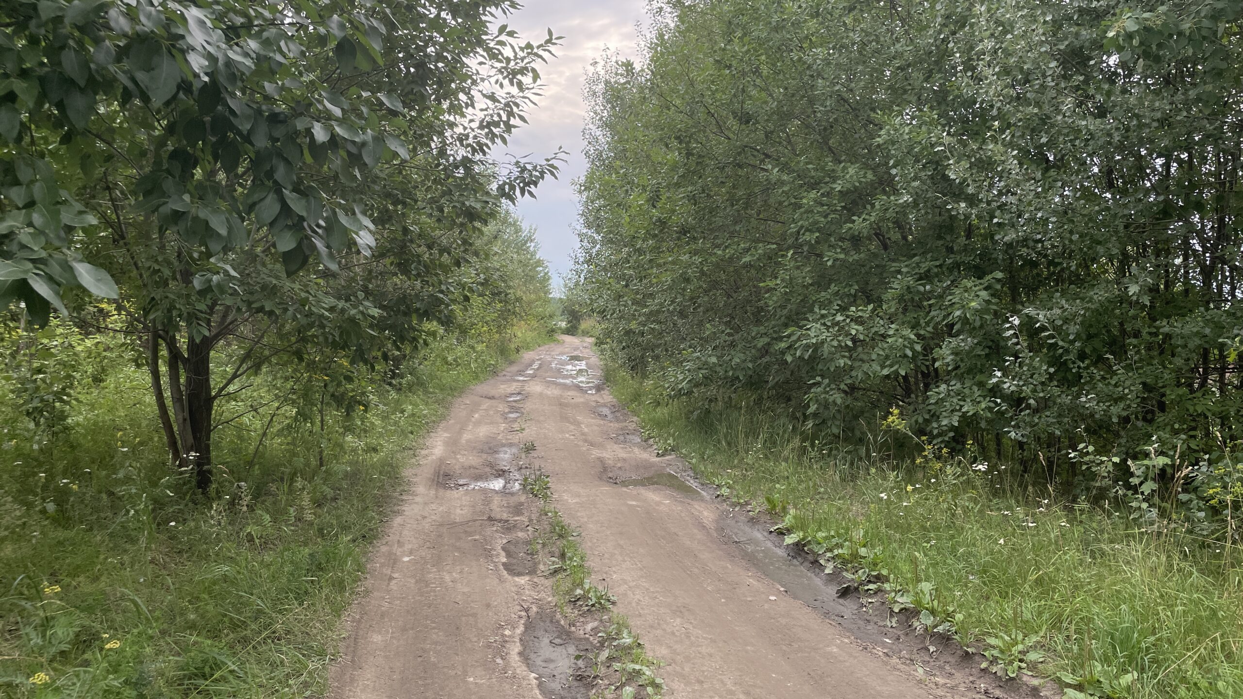 Фотография объекта