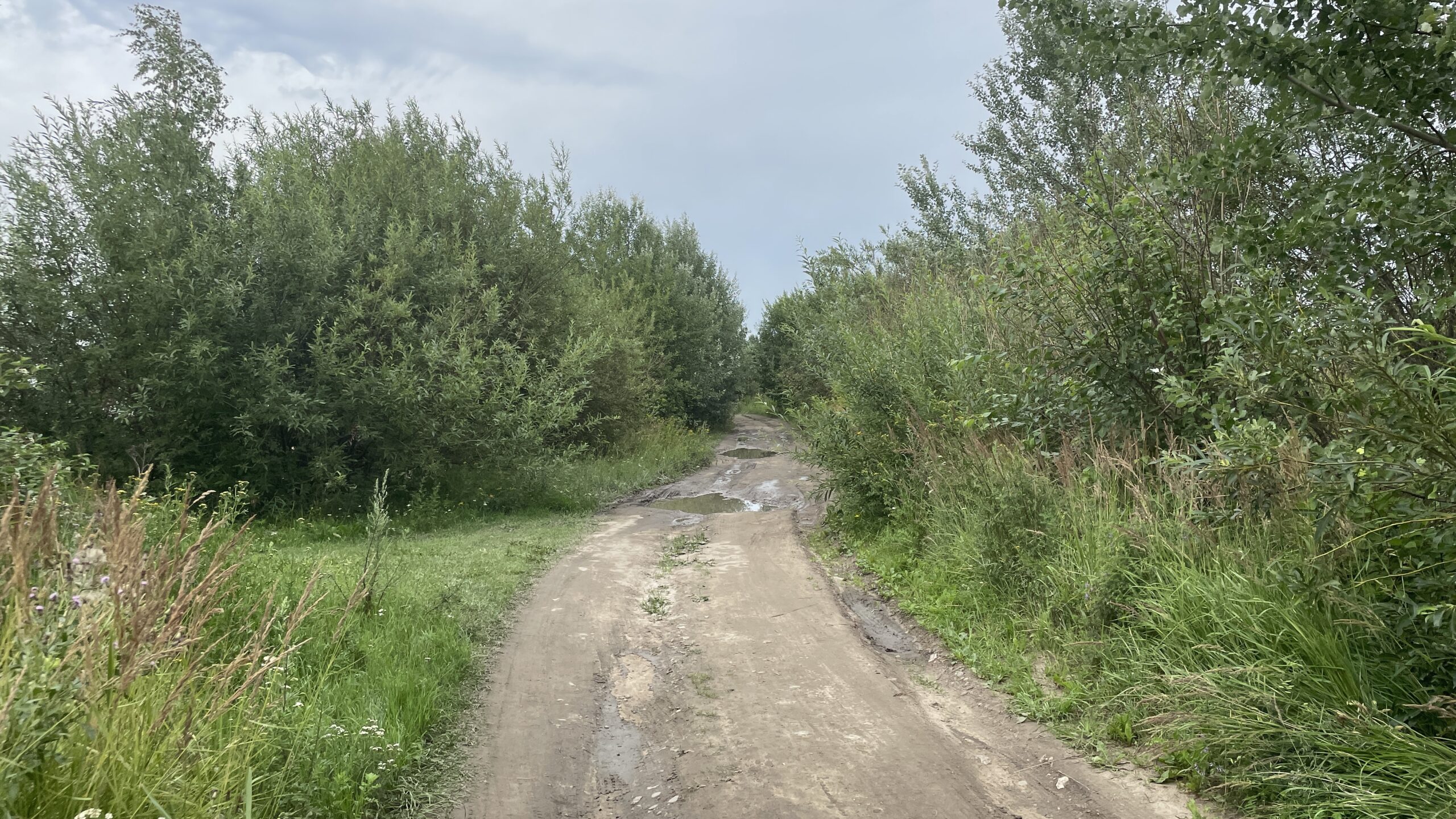Фотография объекта