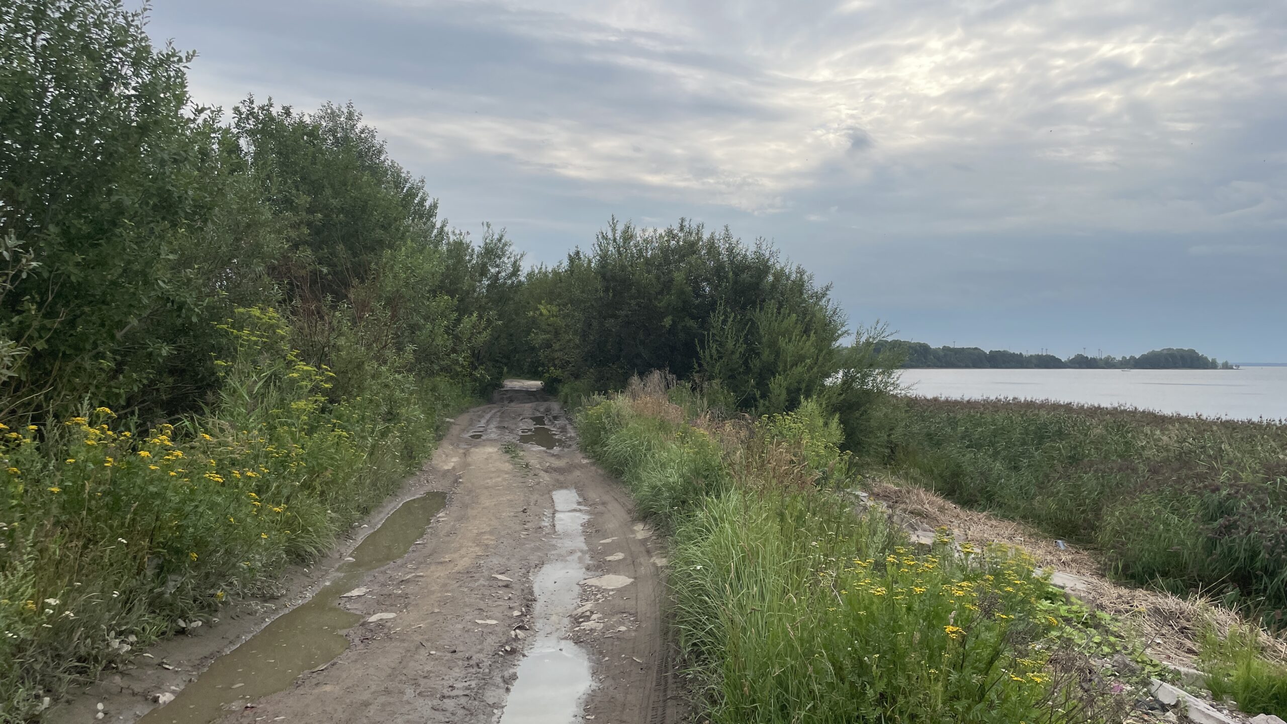 Фотография объекта