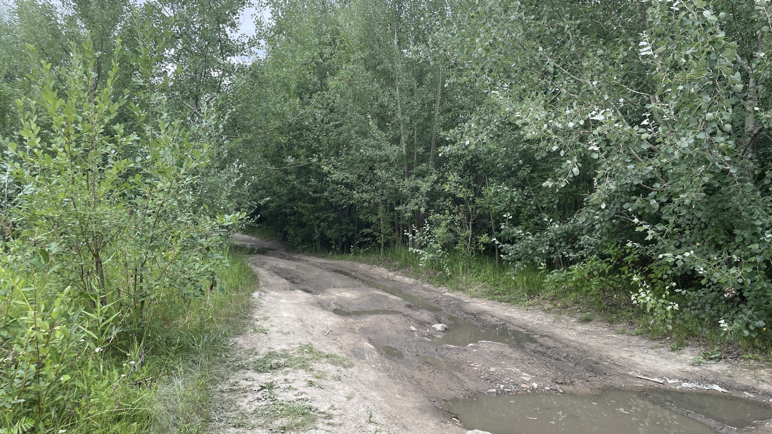 Фотография объекта