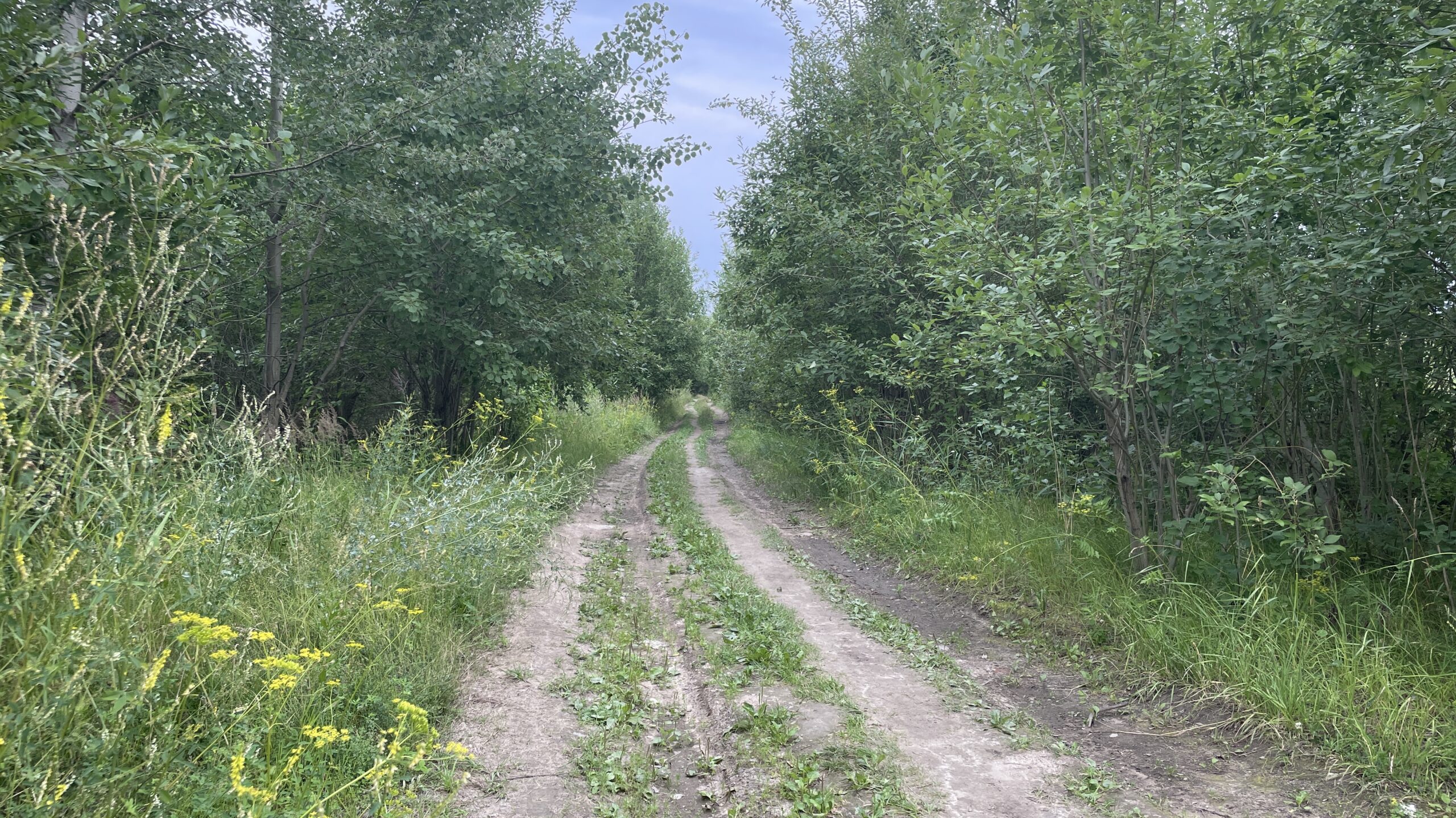 Фотография объекта