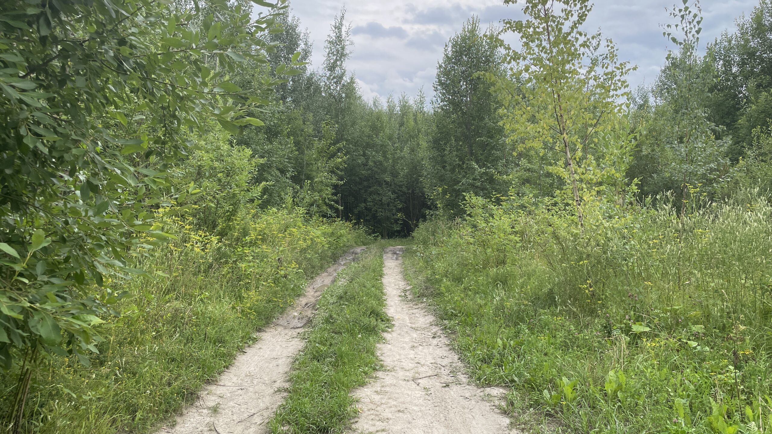 Фотография объекта