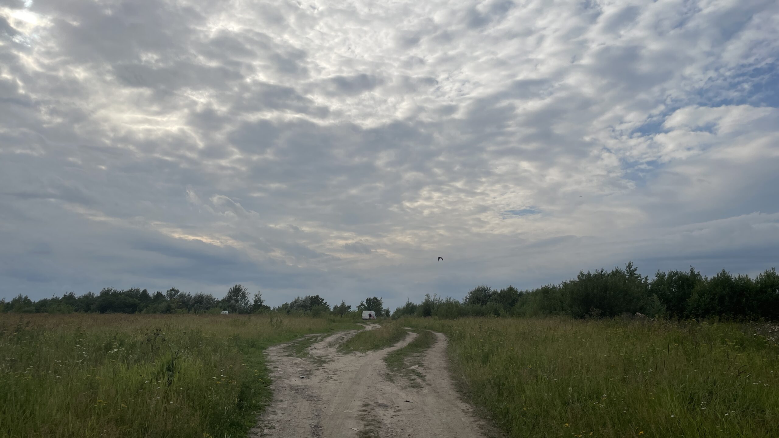 Фотография объекта