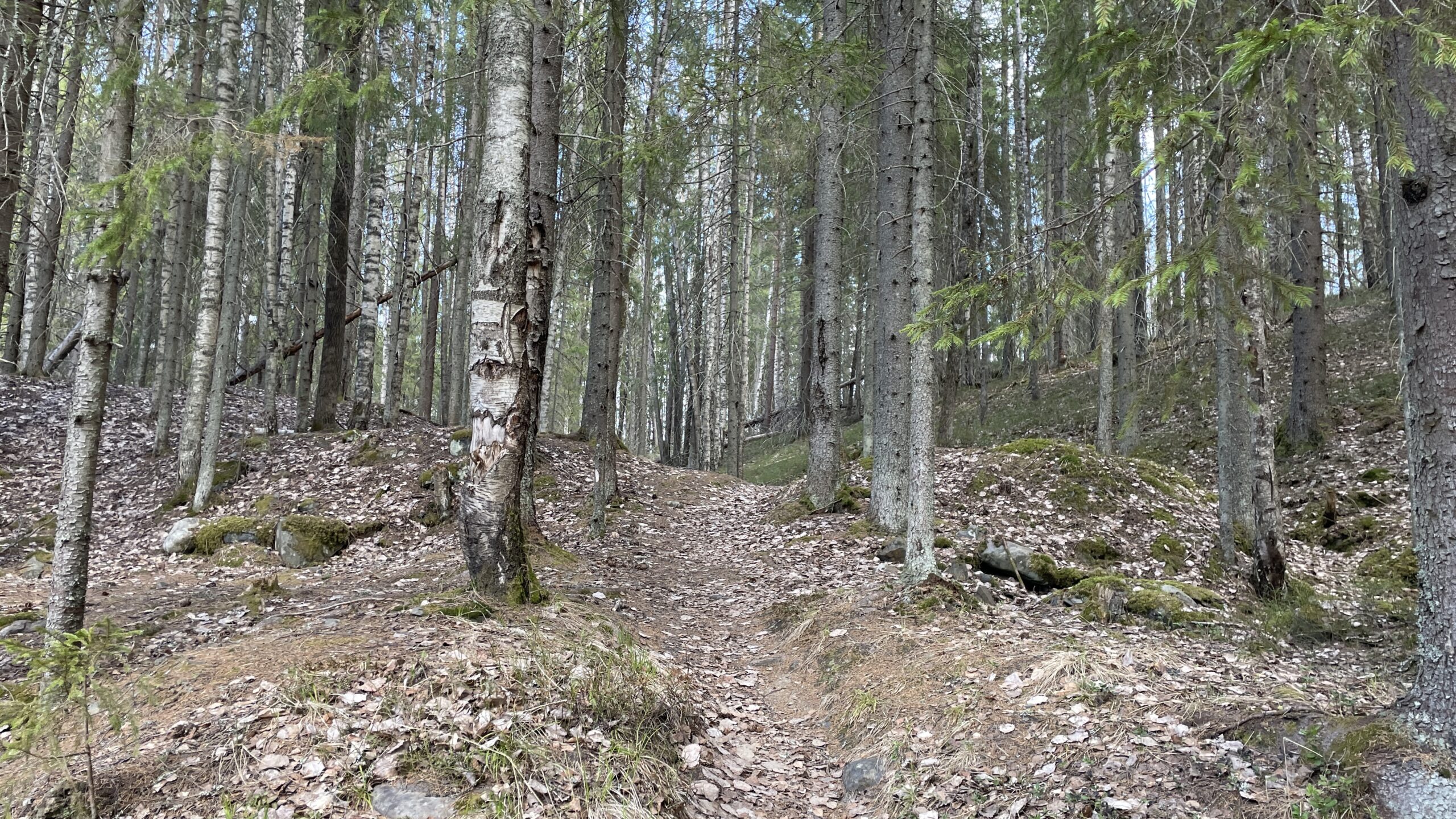 Фотография объекта