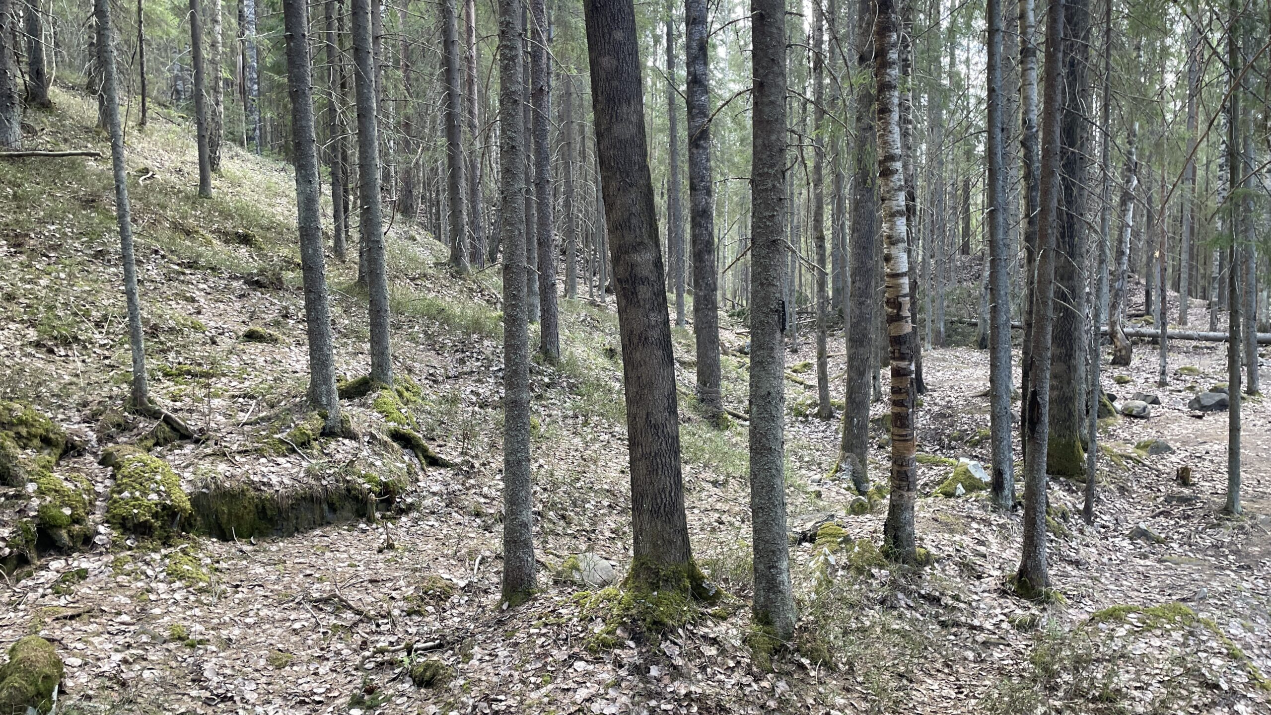 Фотография объекта