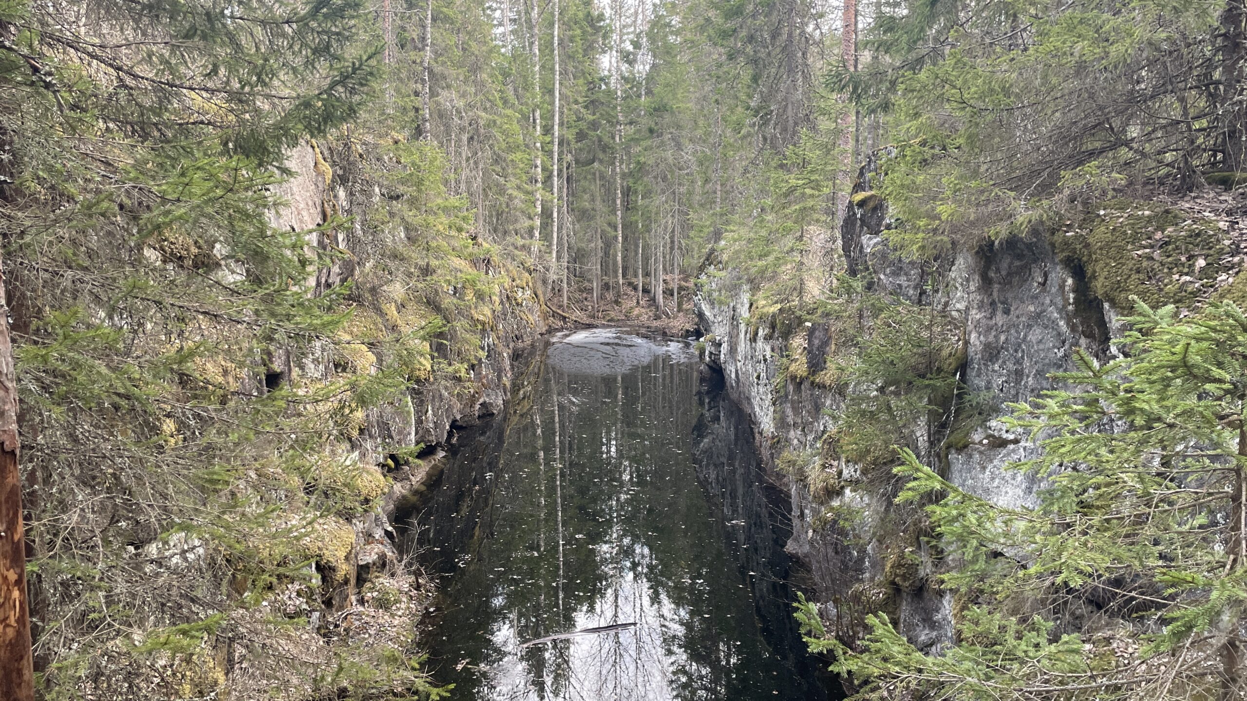 Фотография объекта