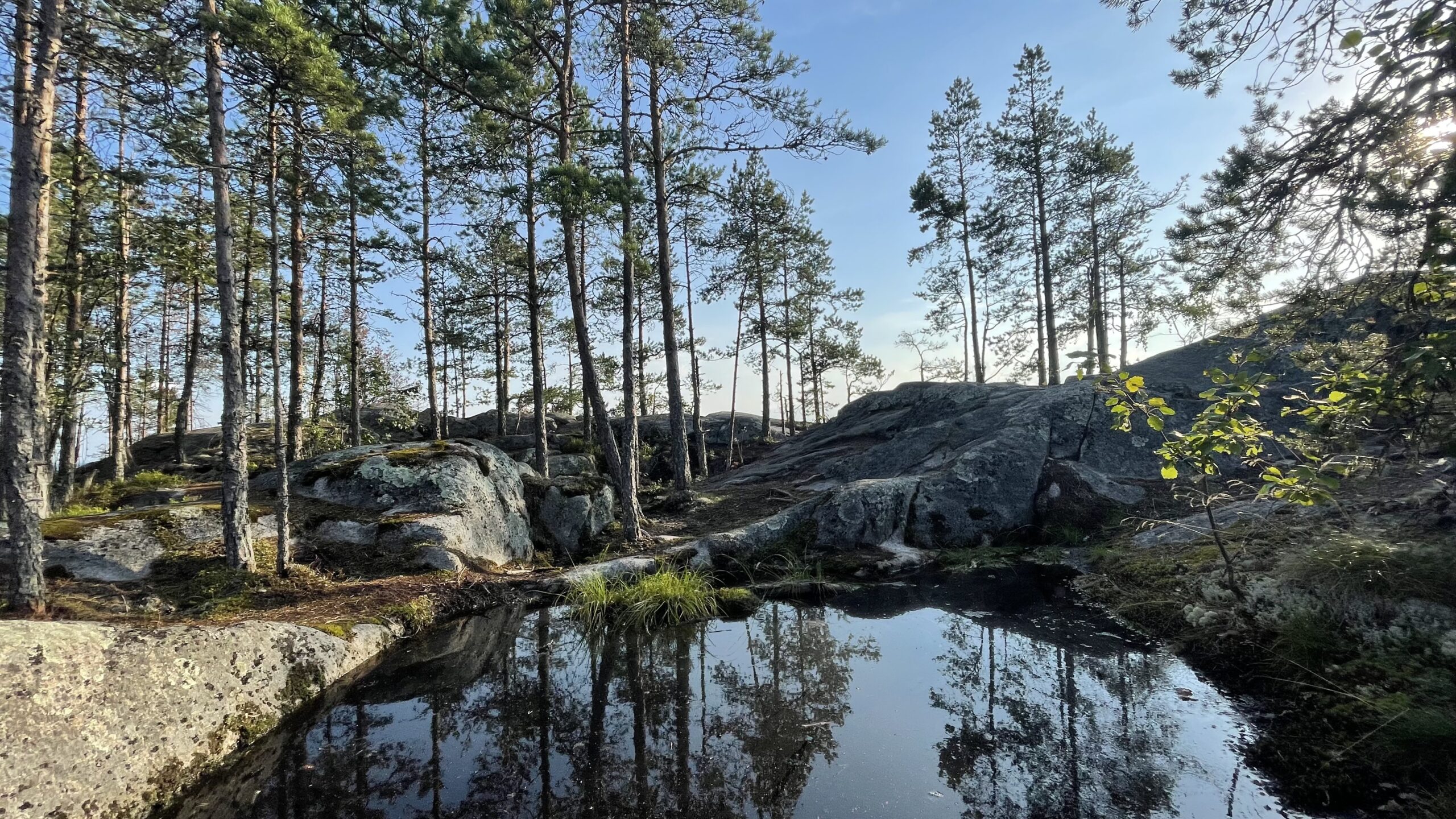 Фотография объекта