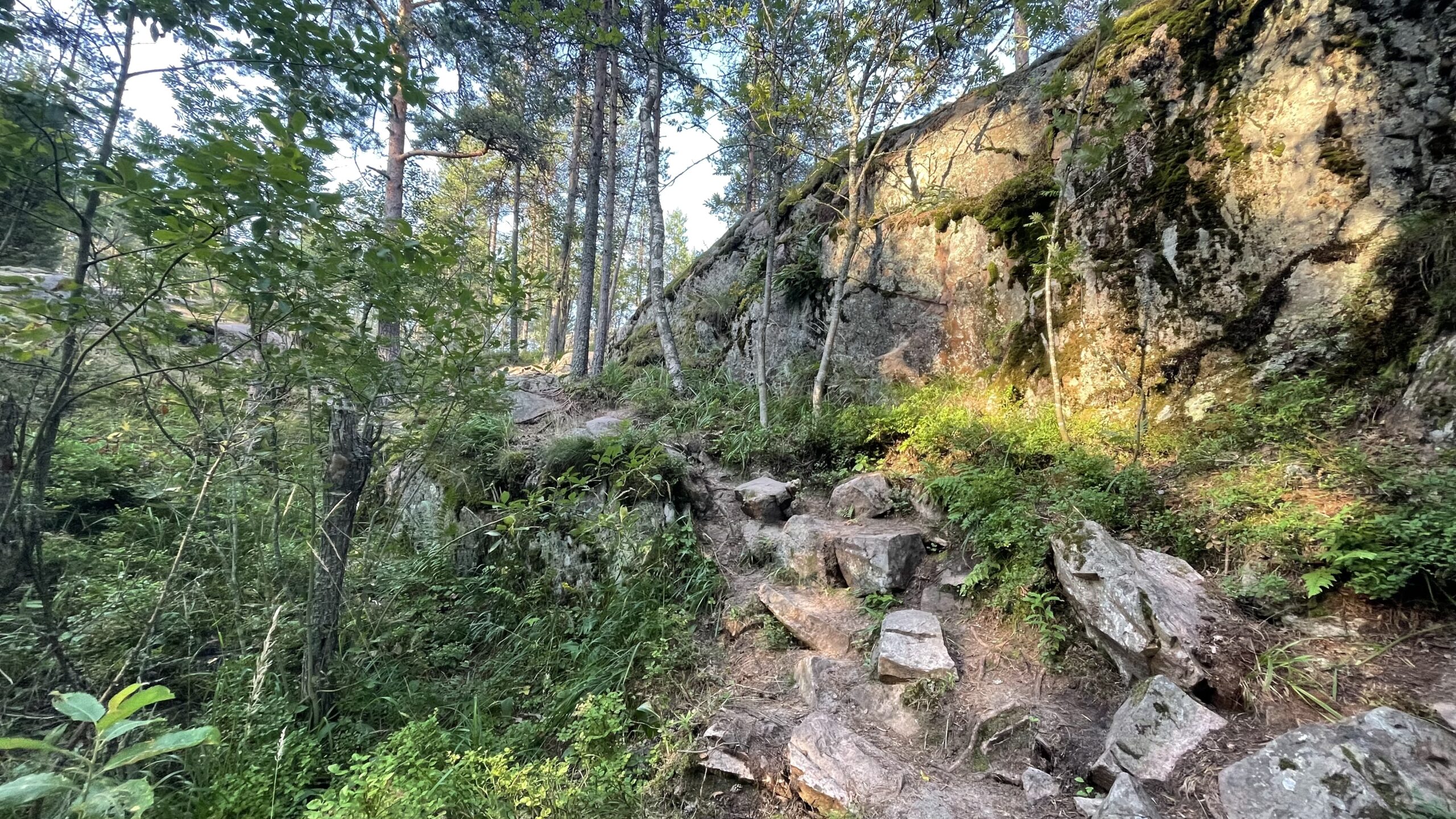 Фотография объекта