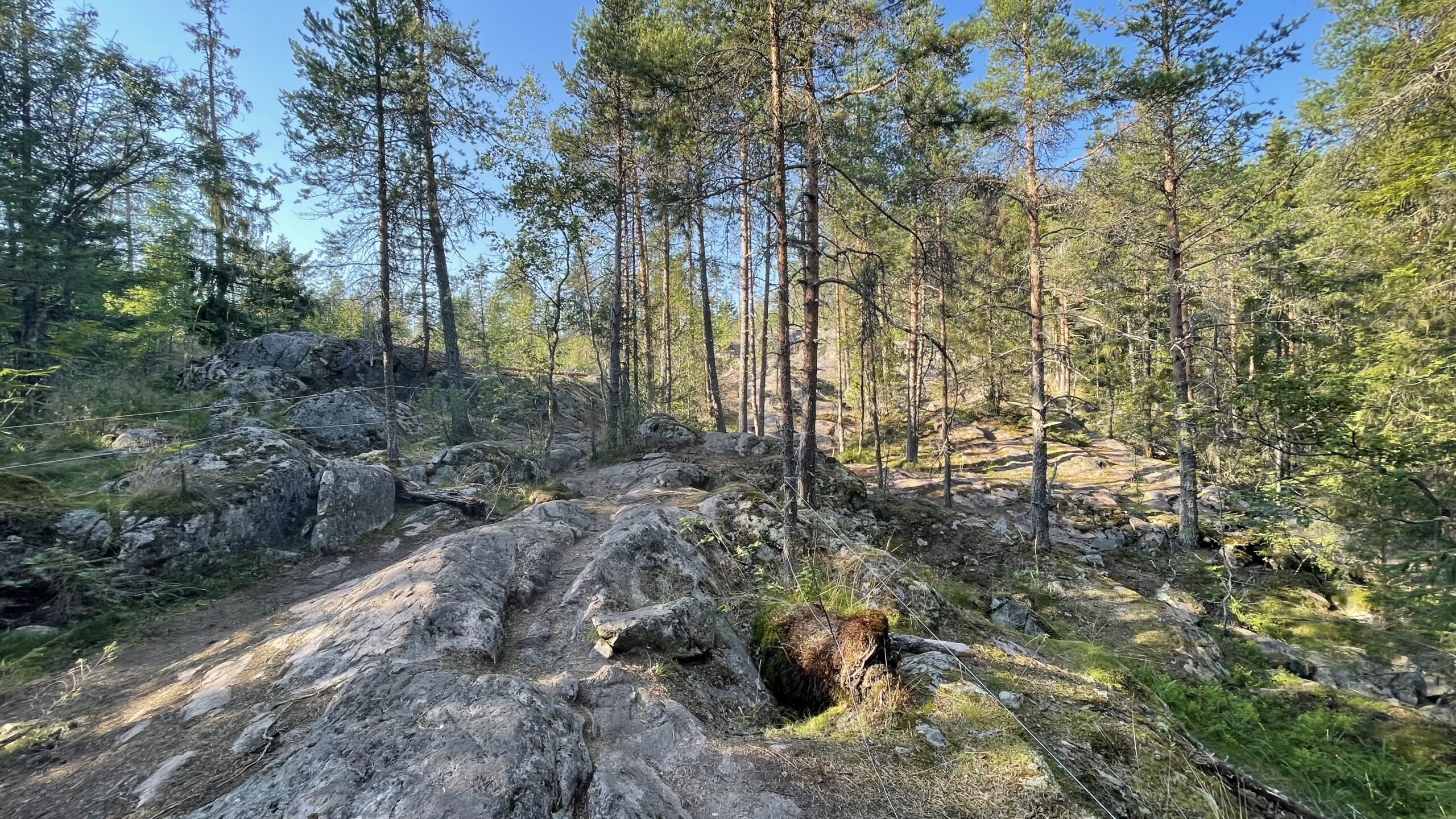 Фотография объекта