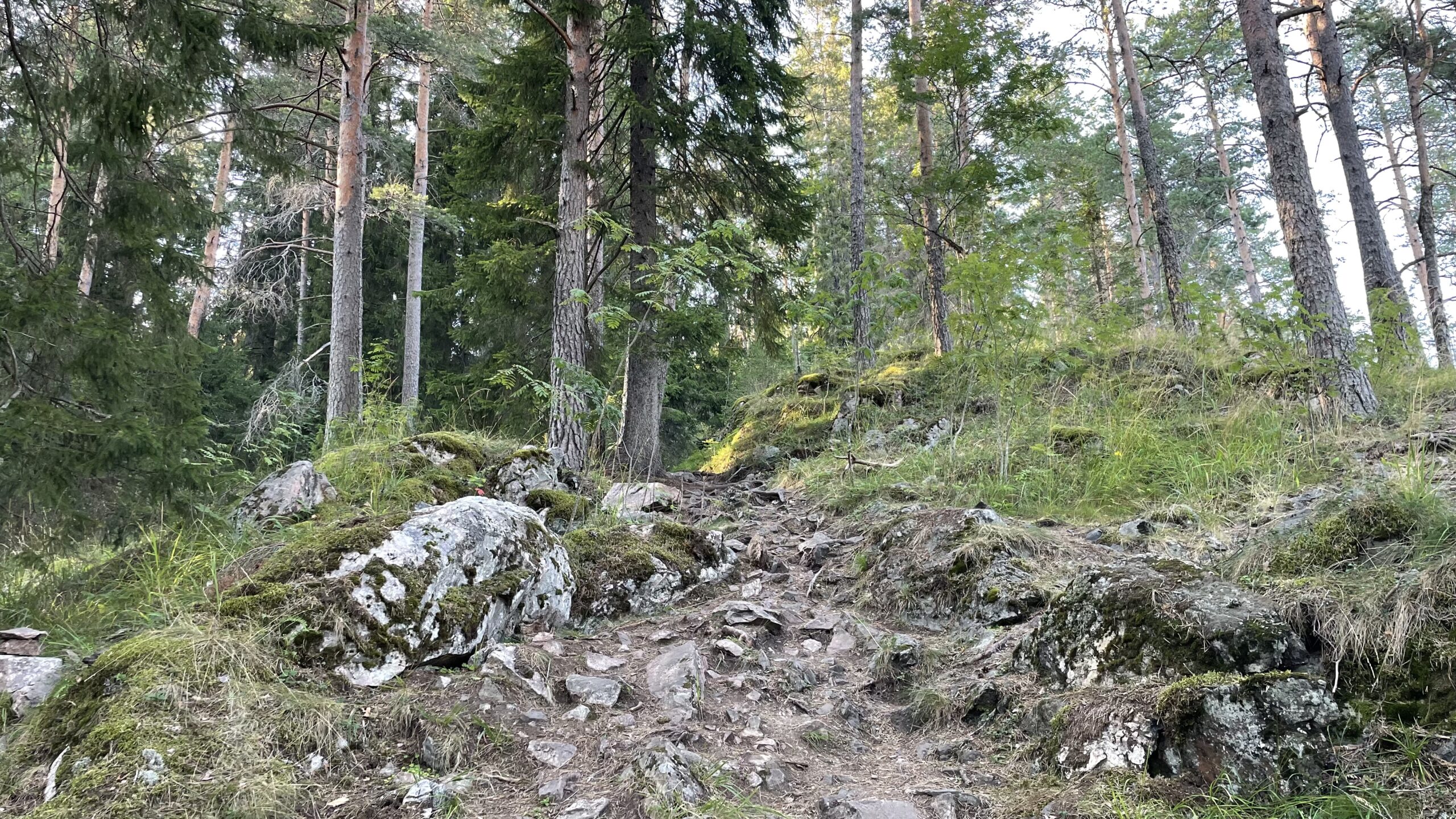 Фотография объекта