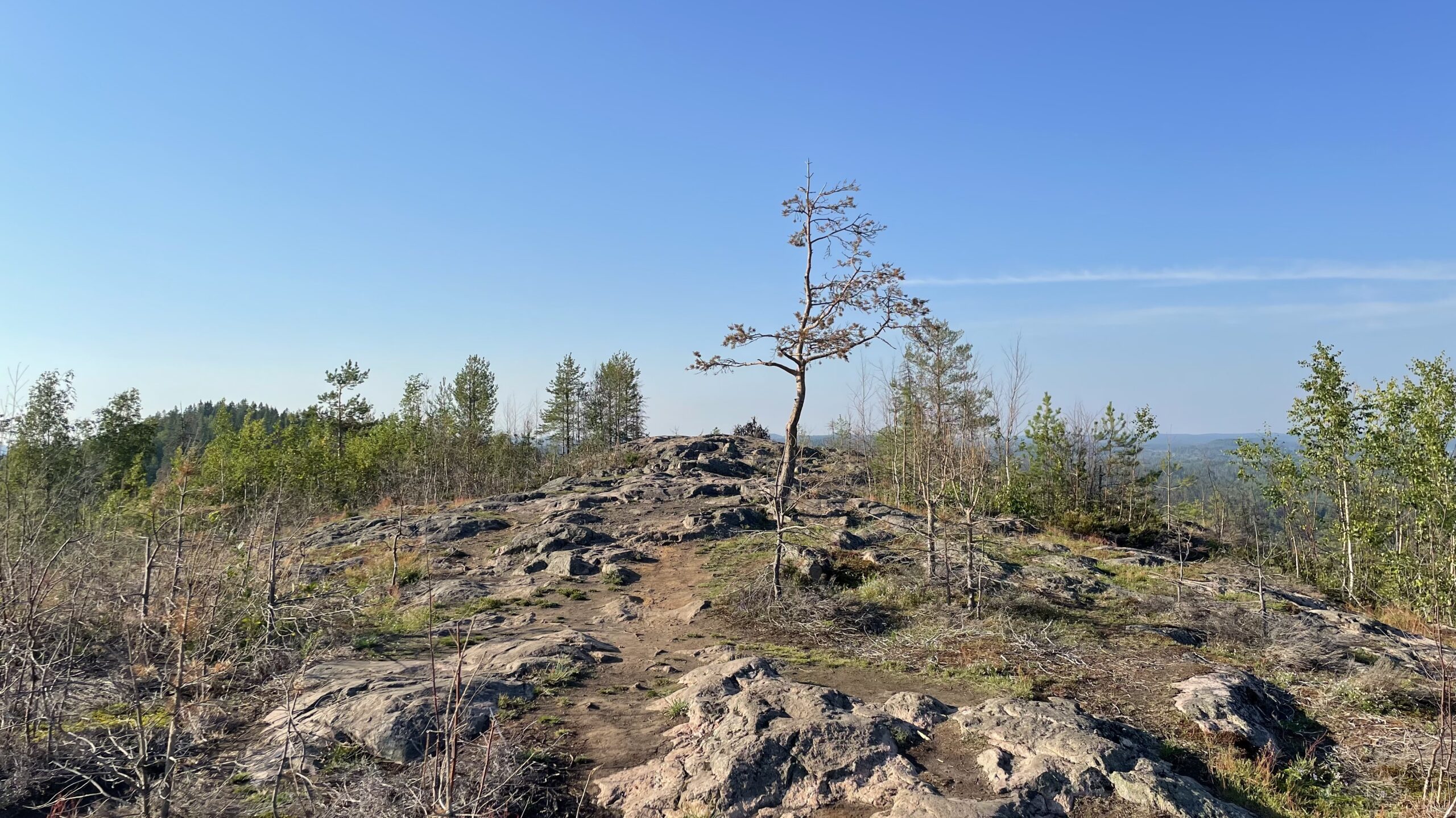 Фотография объекта
