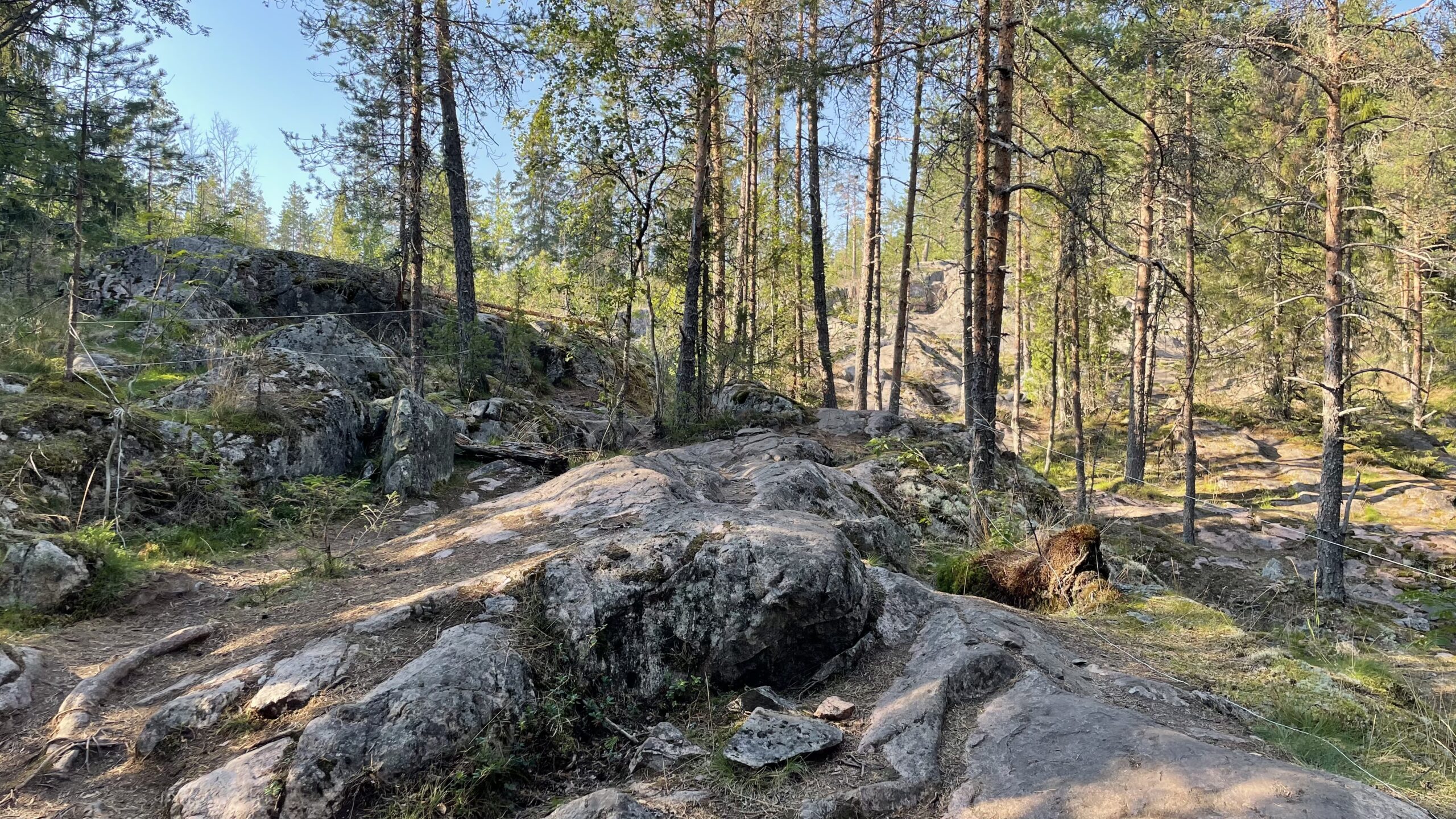 Фотография объекта