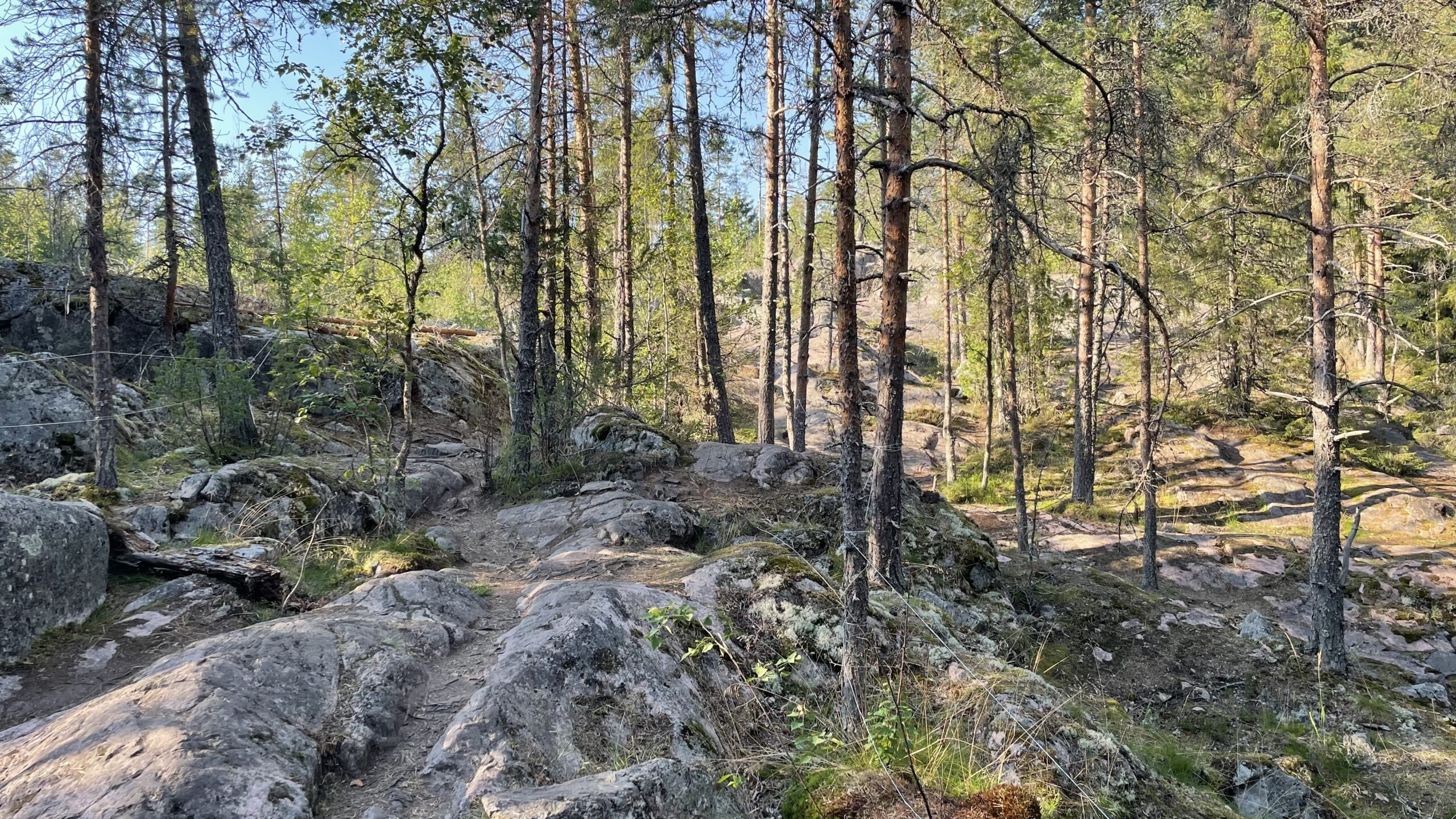 Фотография объекта