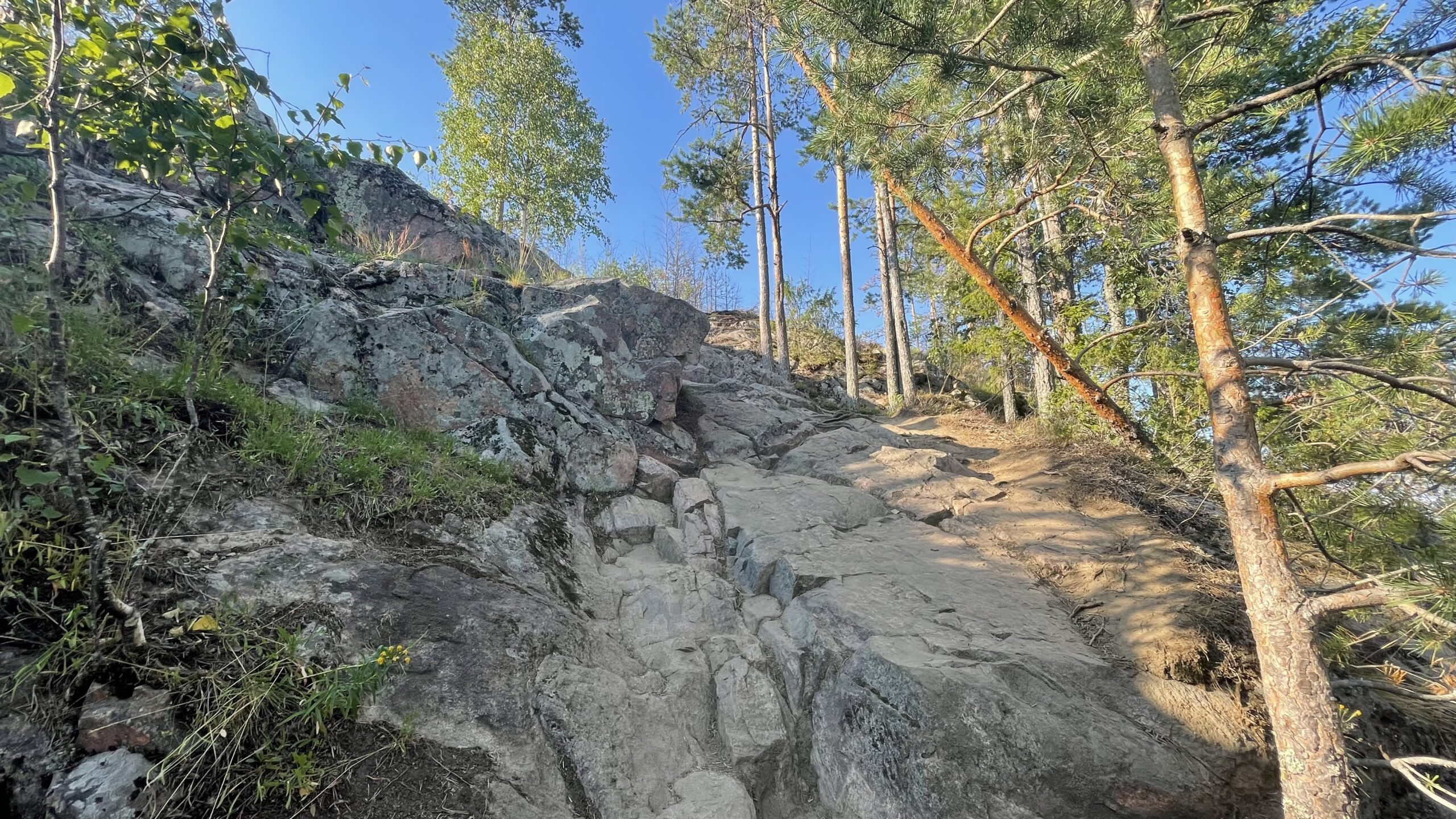 Фотография объекта