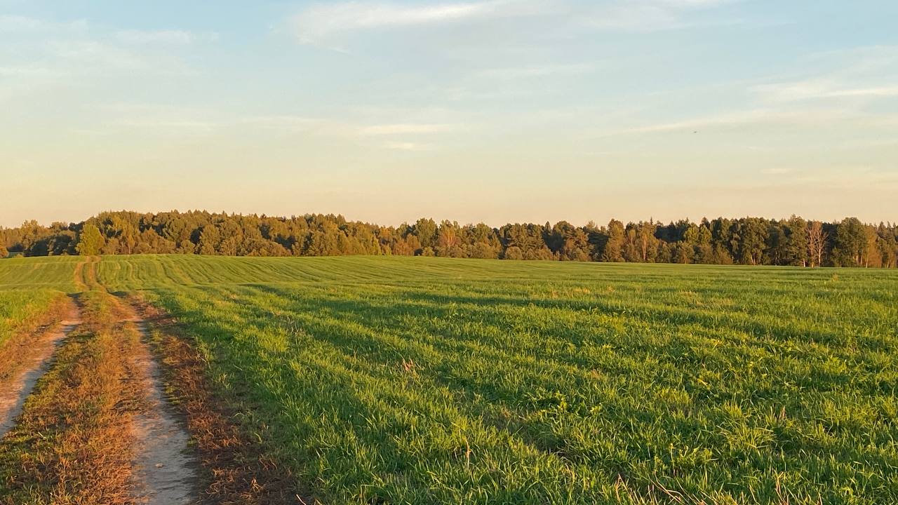 Фотография объекта