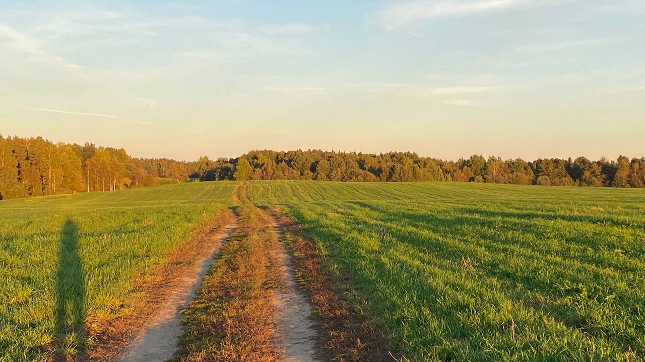 Фотография объекта