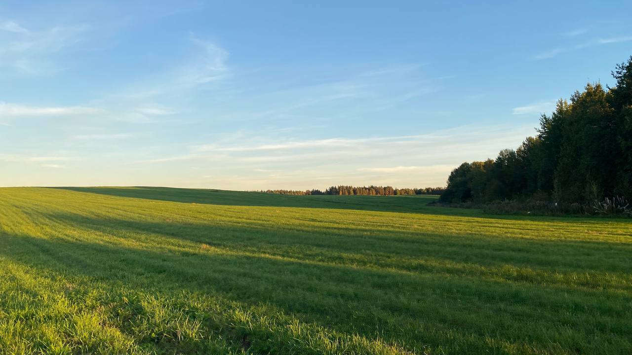 Фотография объекта