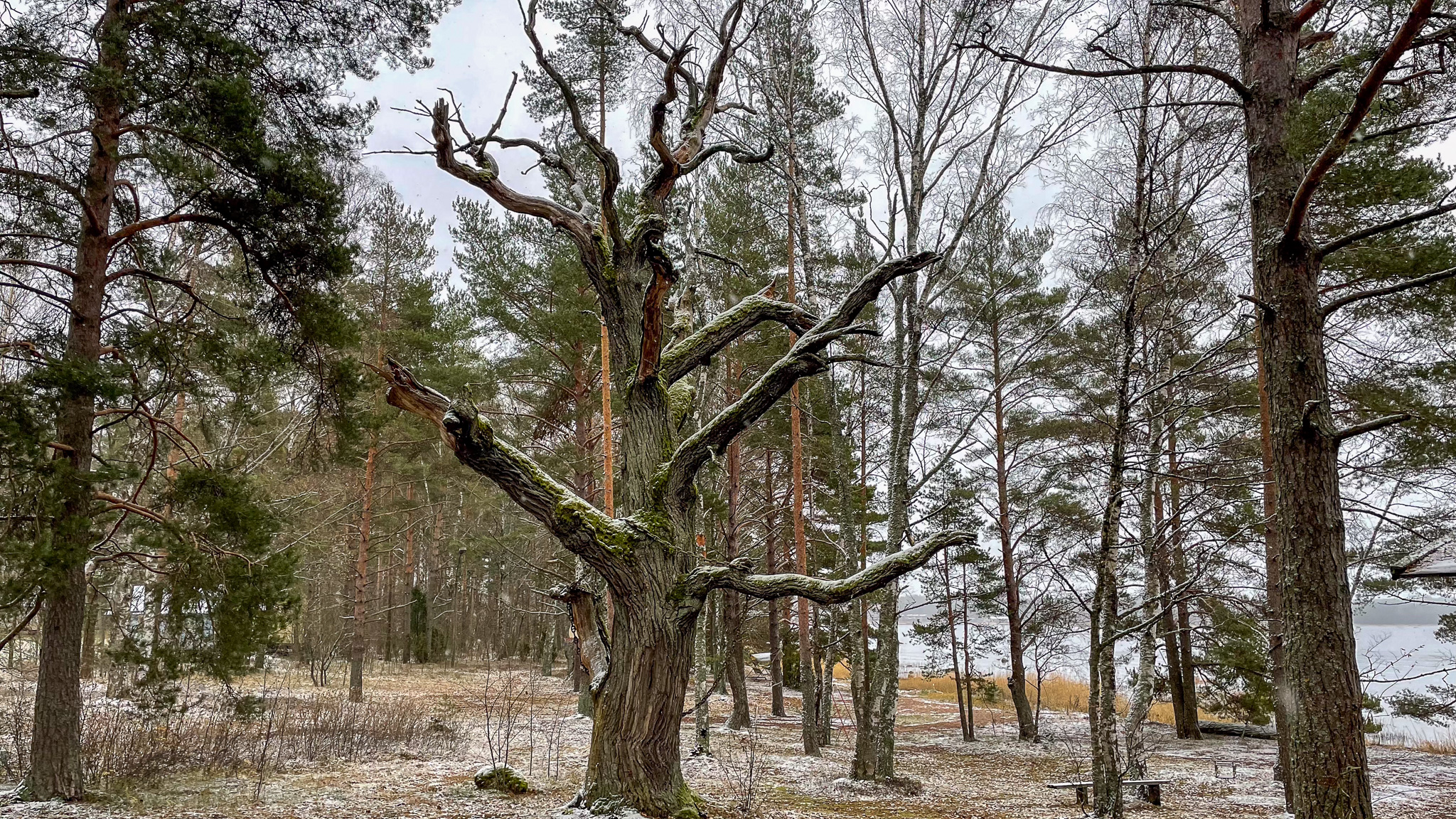 Фотография объекта