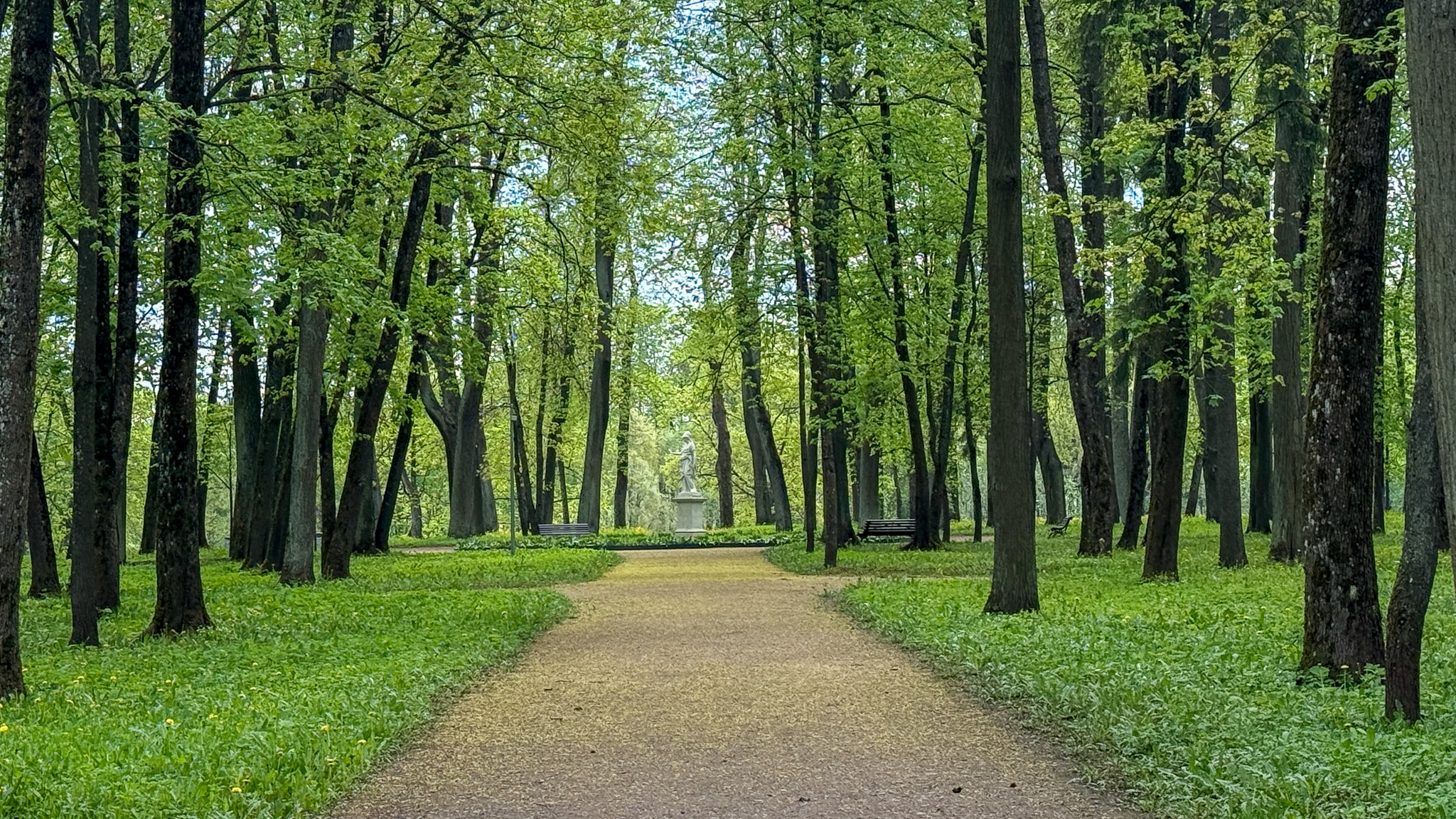Фотография объекта