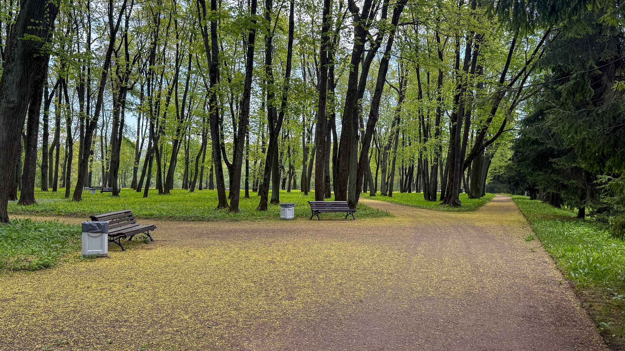 Фотография объекта