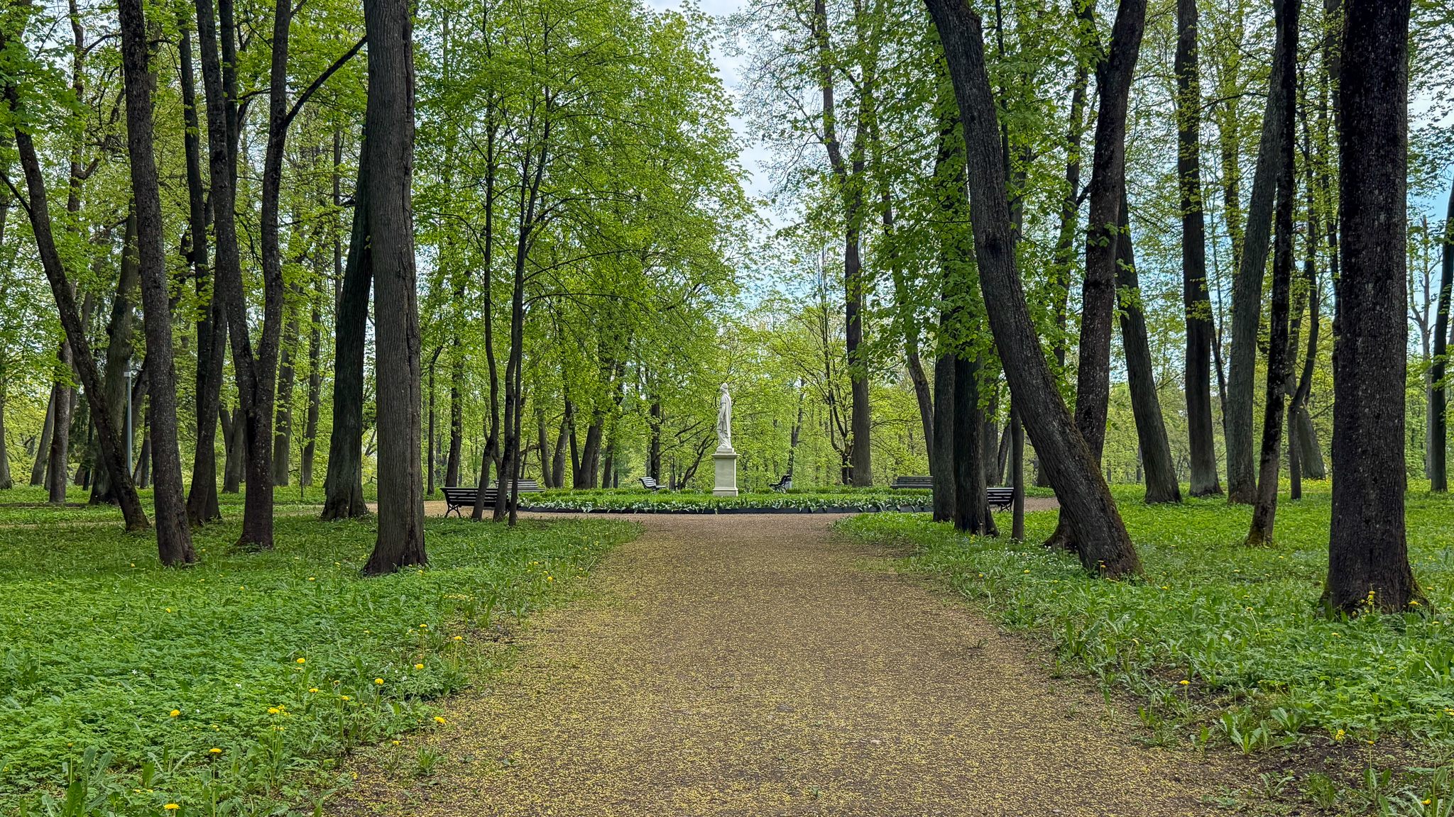 Фотография объекта