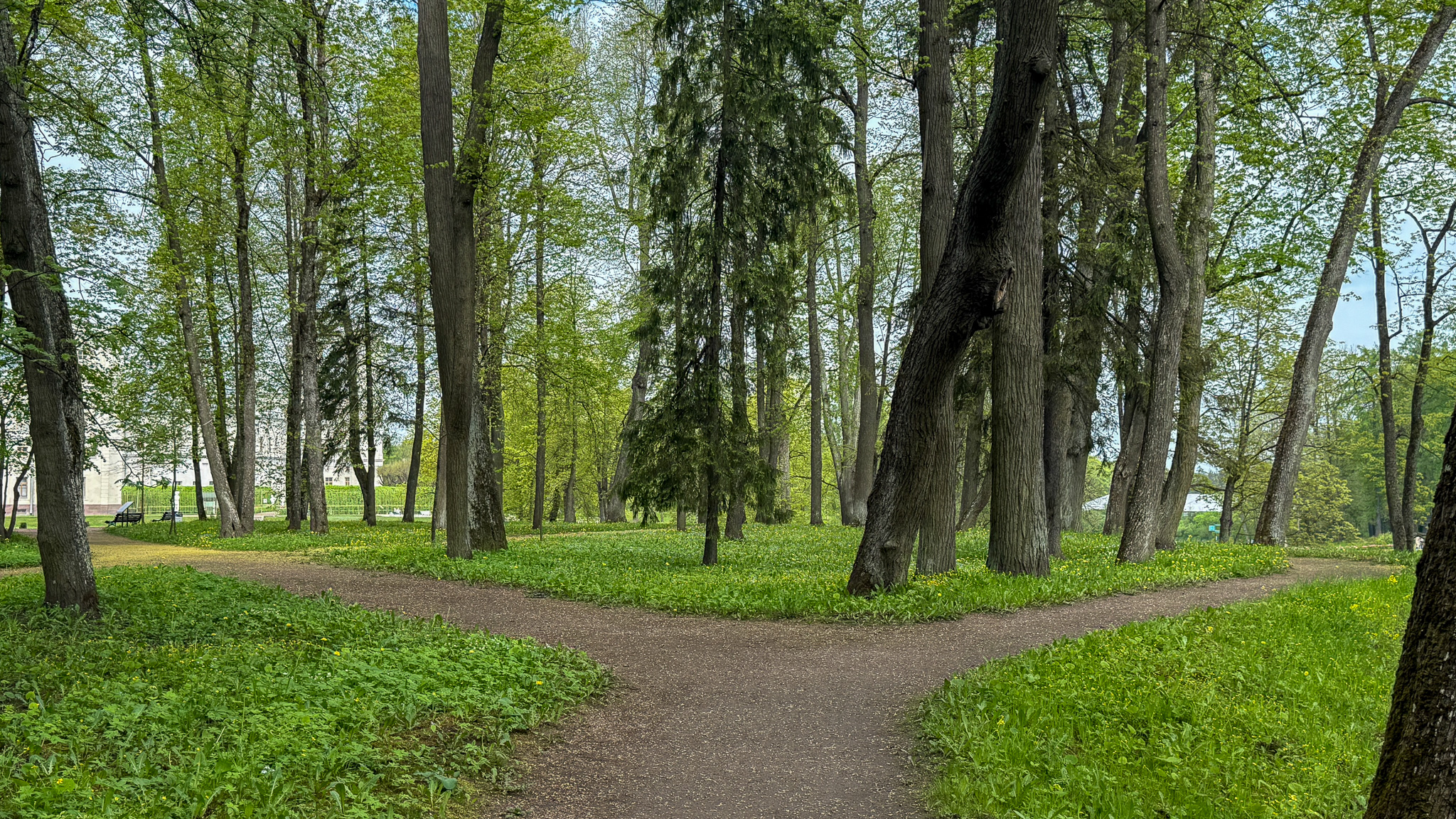 Фотография объекта
