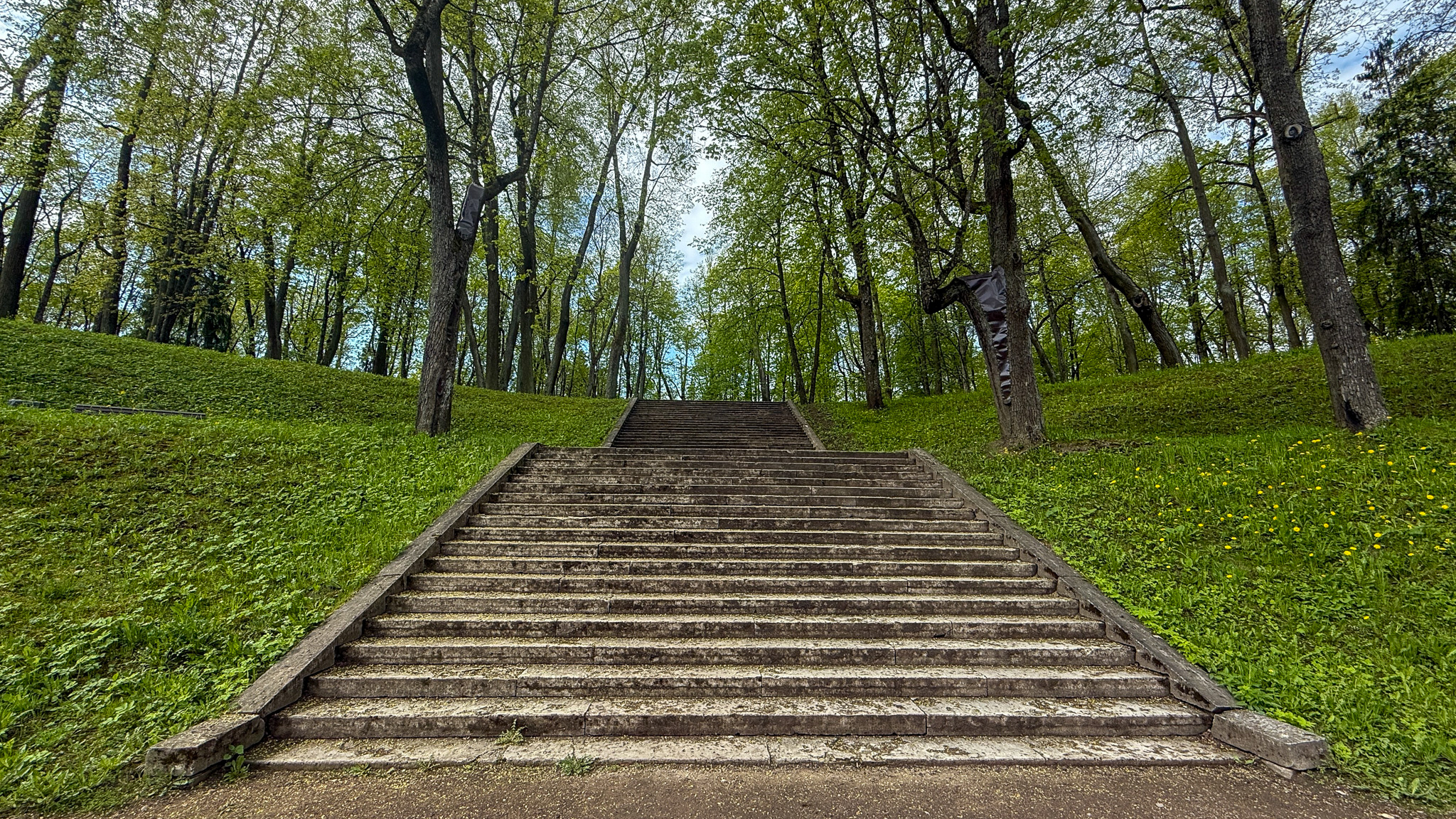 Фотография объекта
