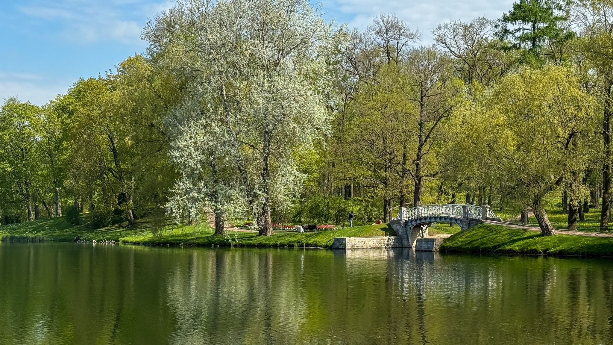 Фотография объекта