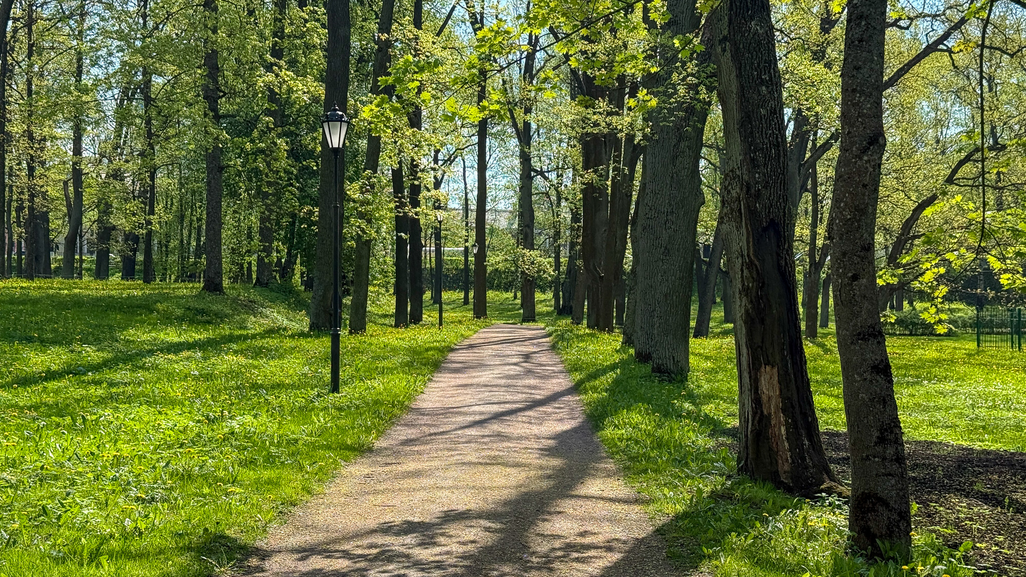 Фотография объекта