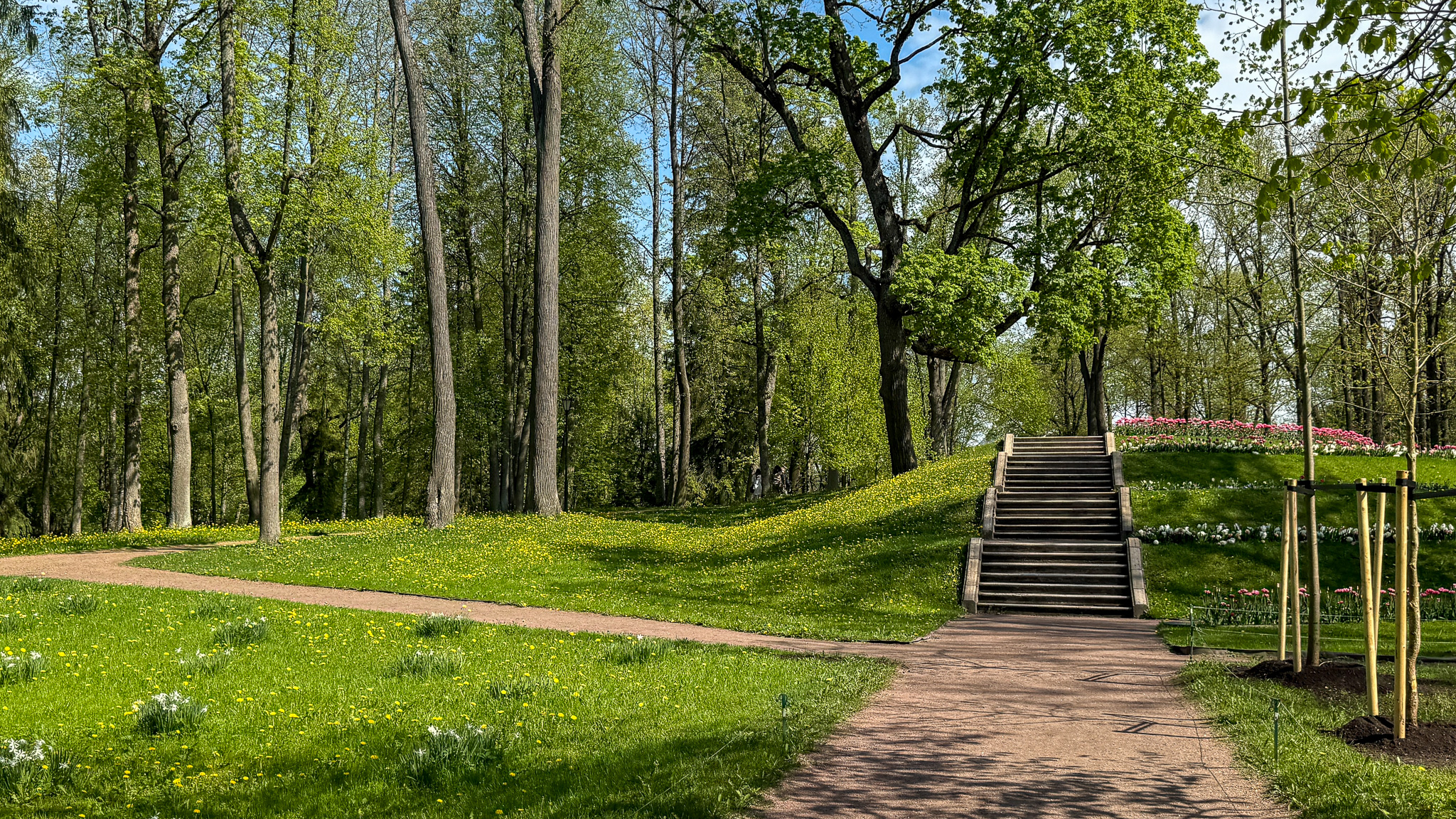 Фотография объекта