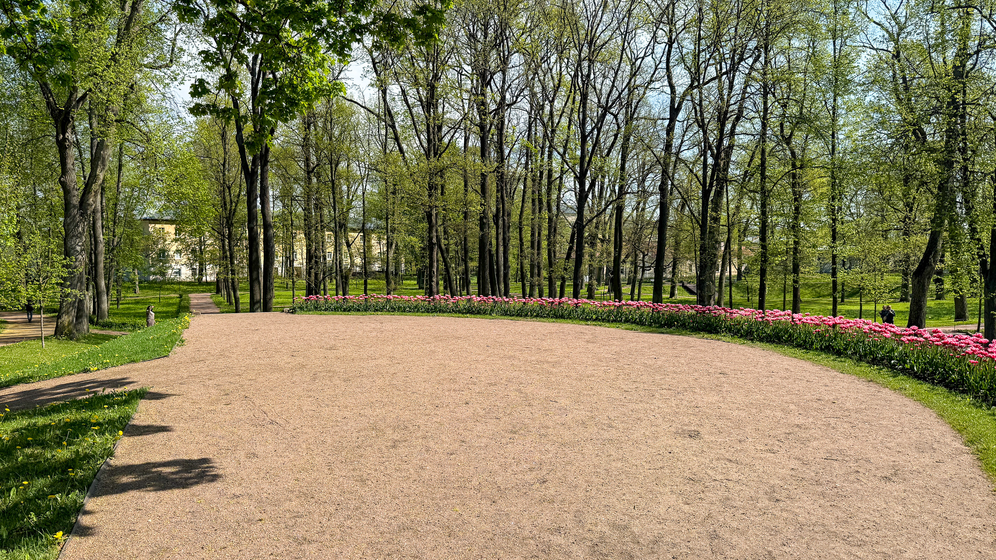 Фотография объекта