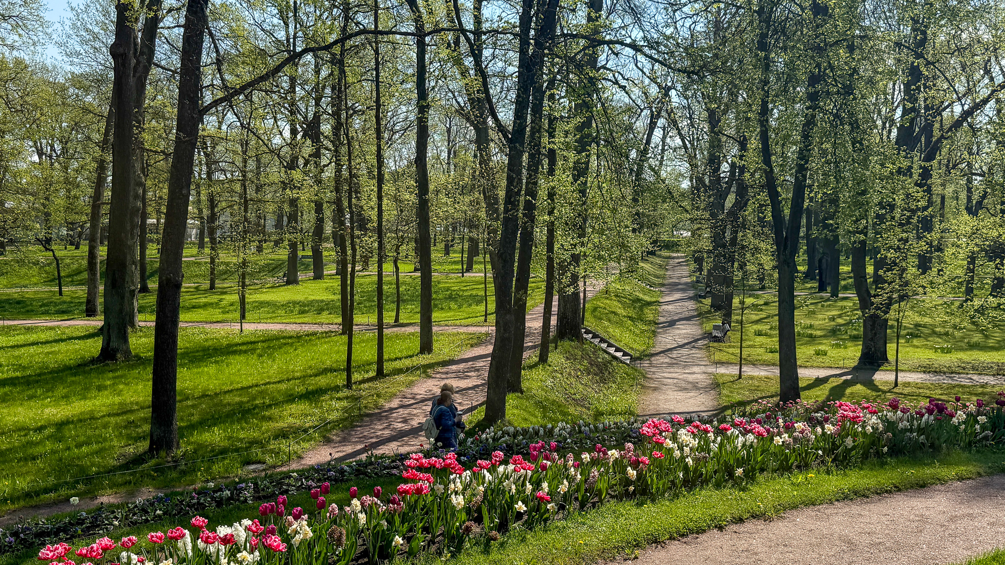 Фотография объекта