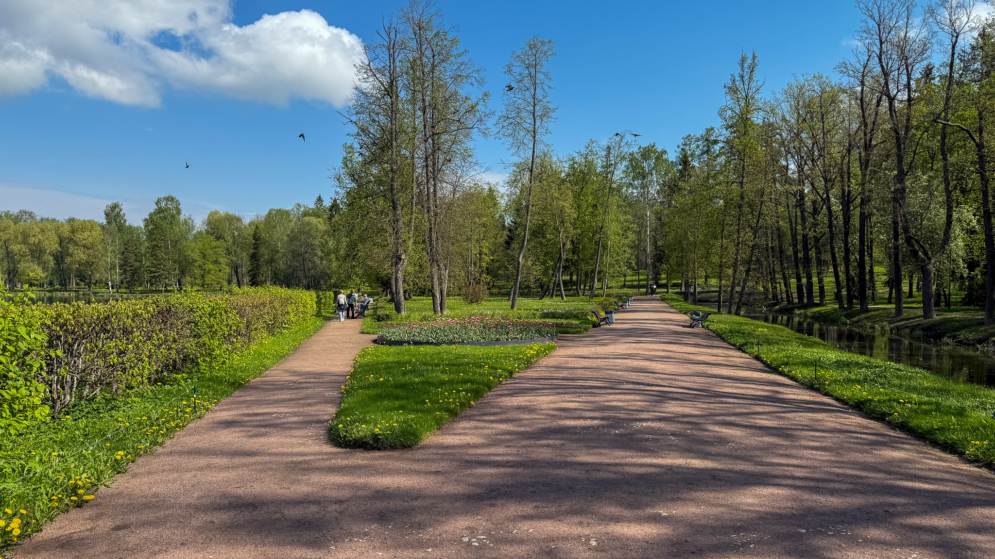 Фотография объекта