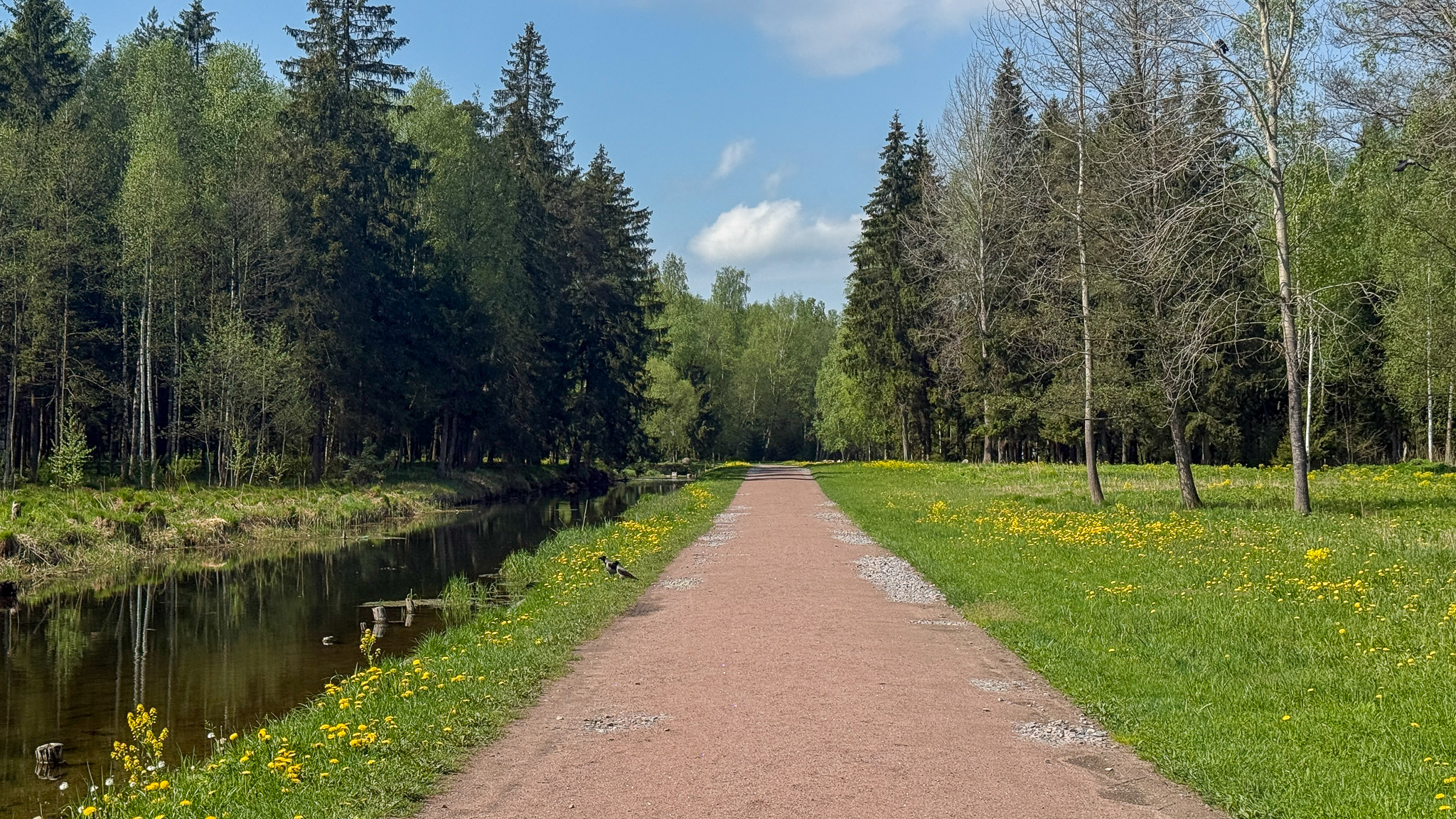 Фотография объекта