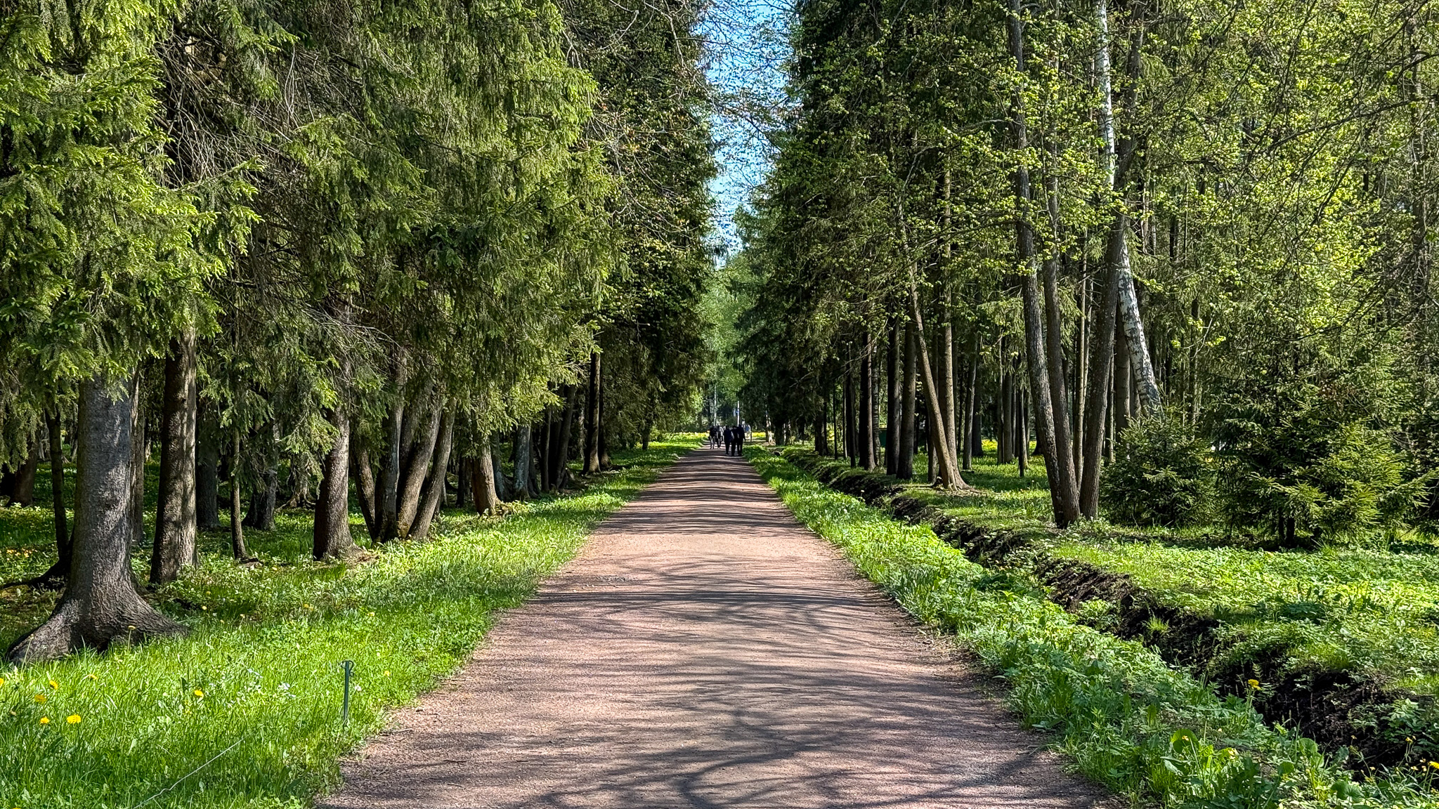 Фотография объекта