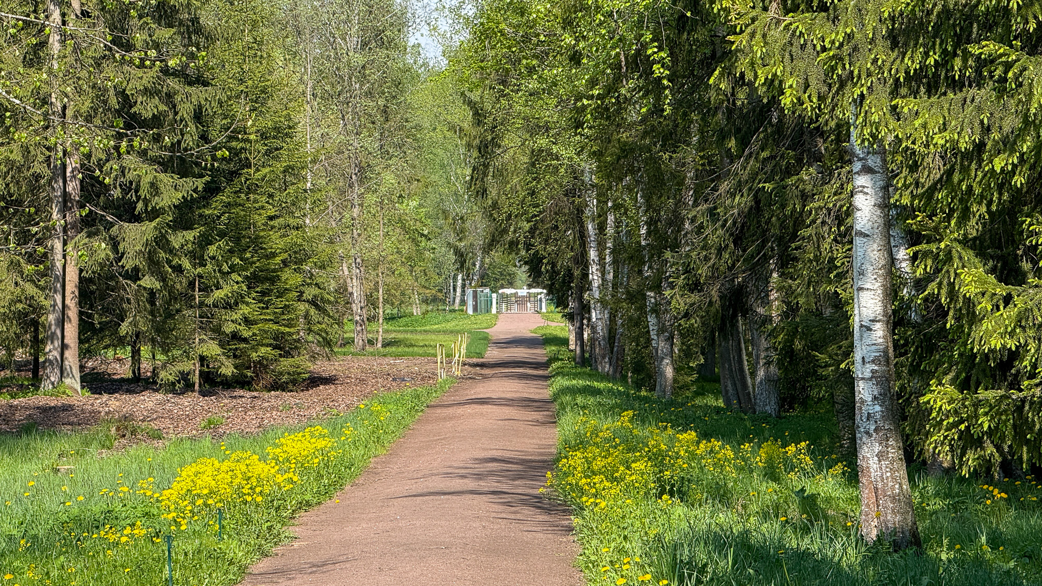 Фотография объекта