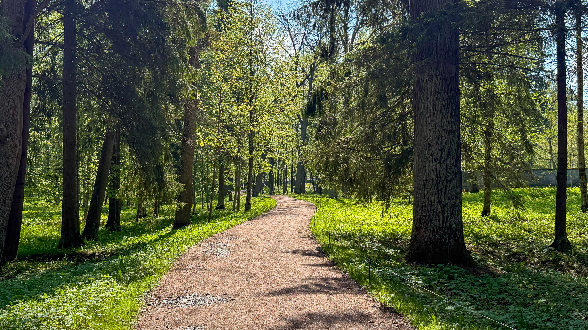 Фотография объекта