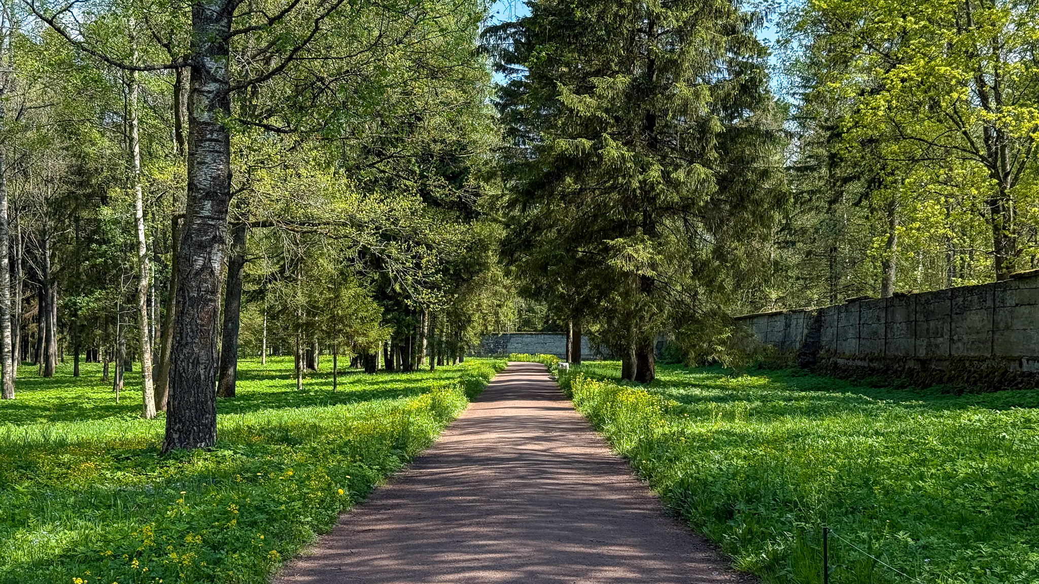 Фотография объекта