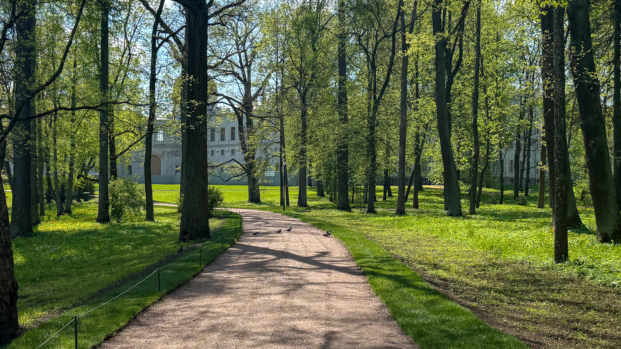 Фотография объекта