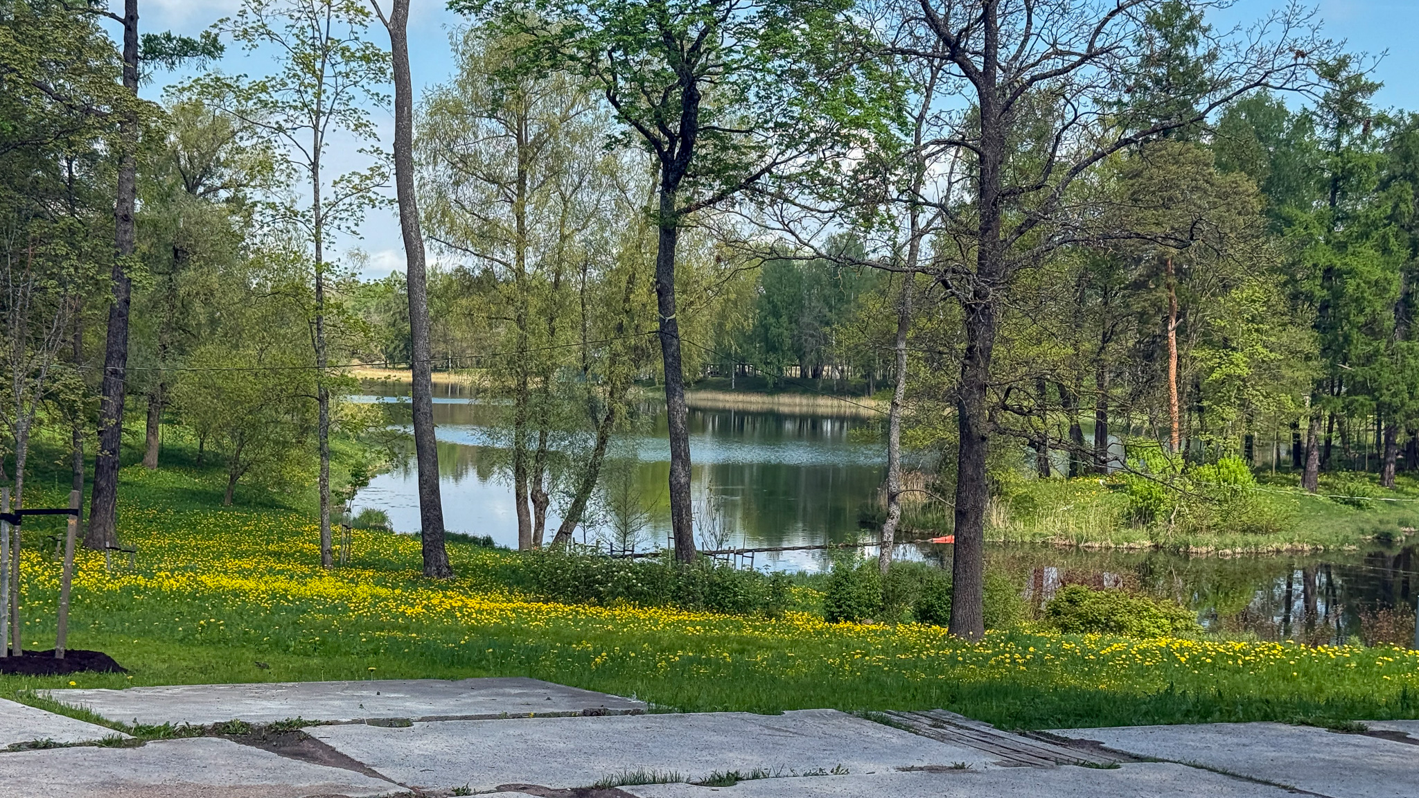 Фотография объекта