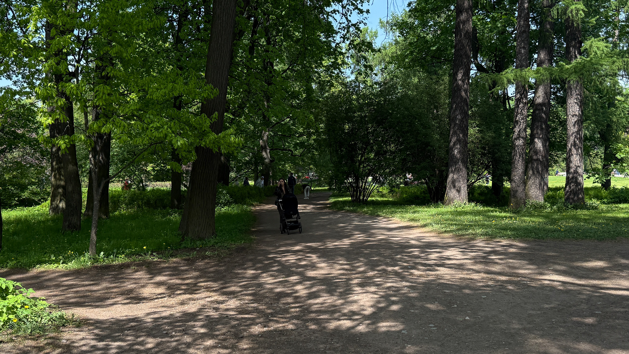 Фотография объекта