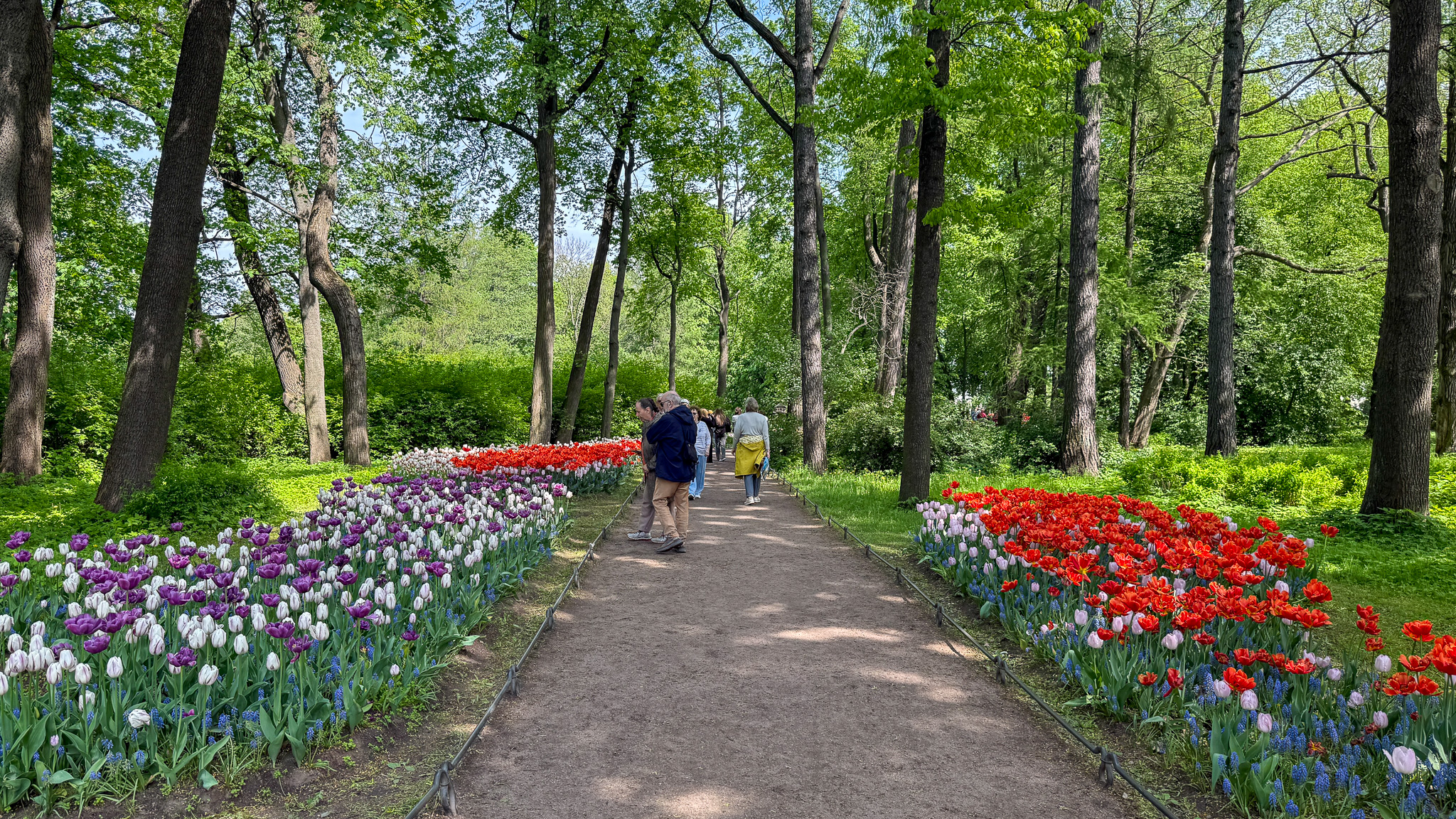 Фотография объекта