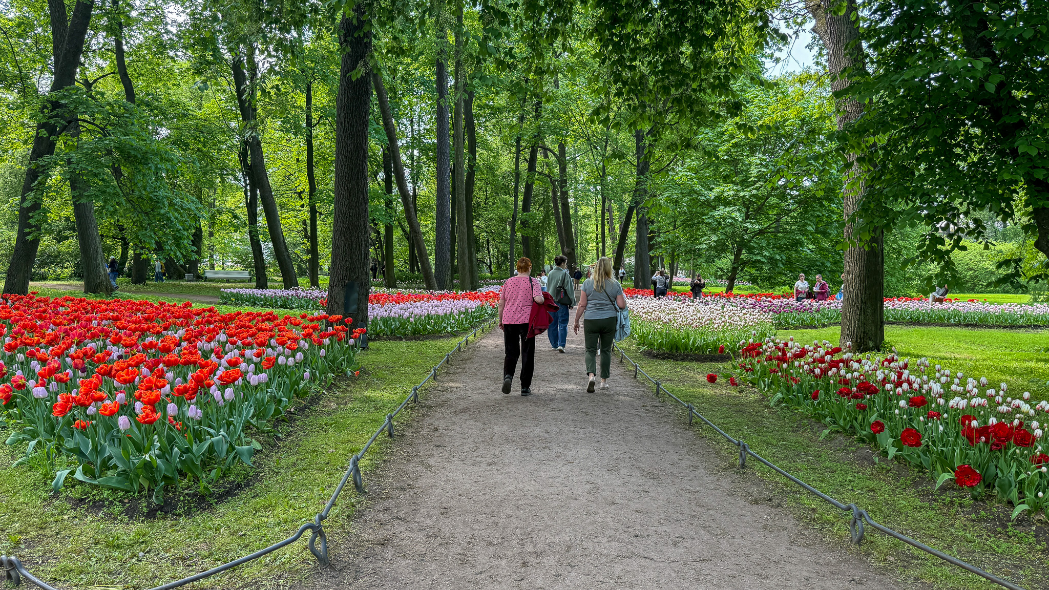 Фотография объекта