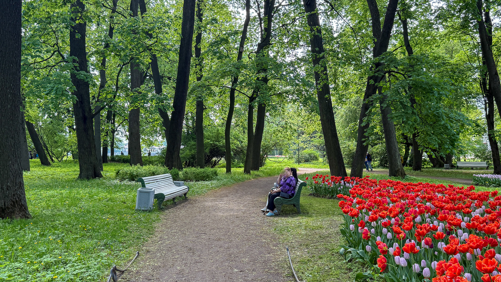 Фотография объекта