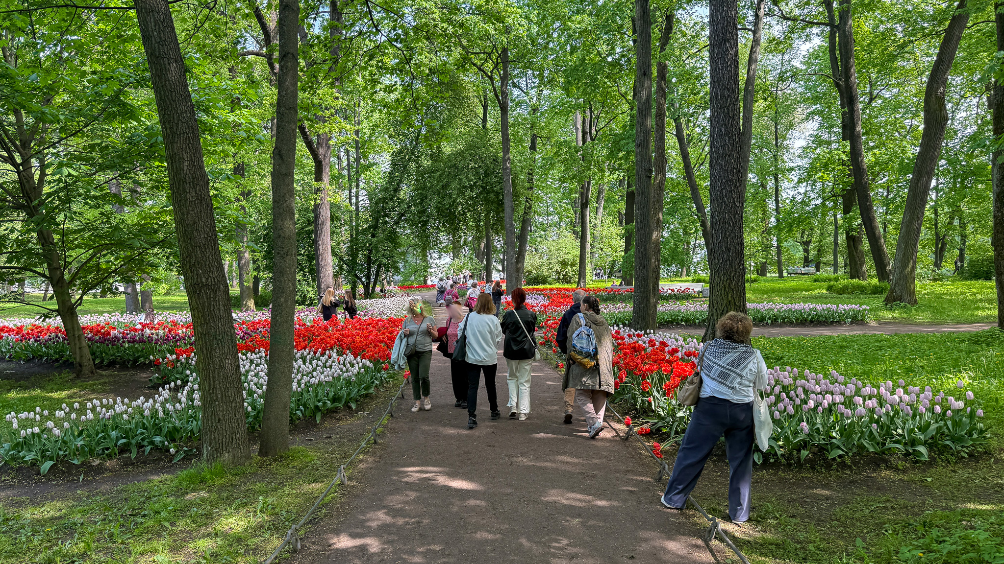 Фотография объекта
