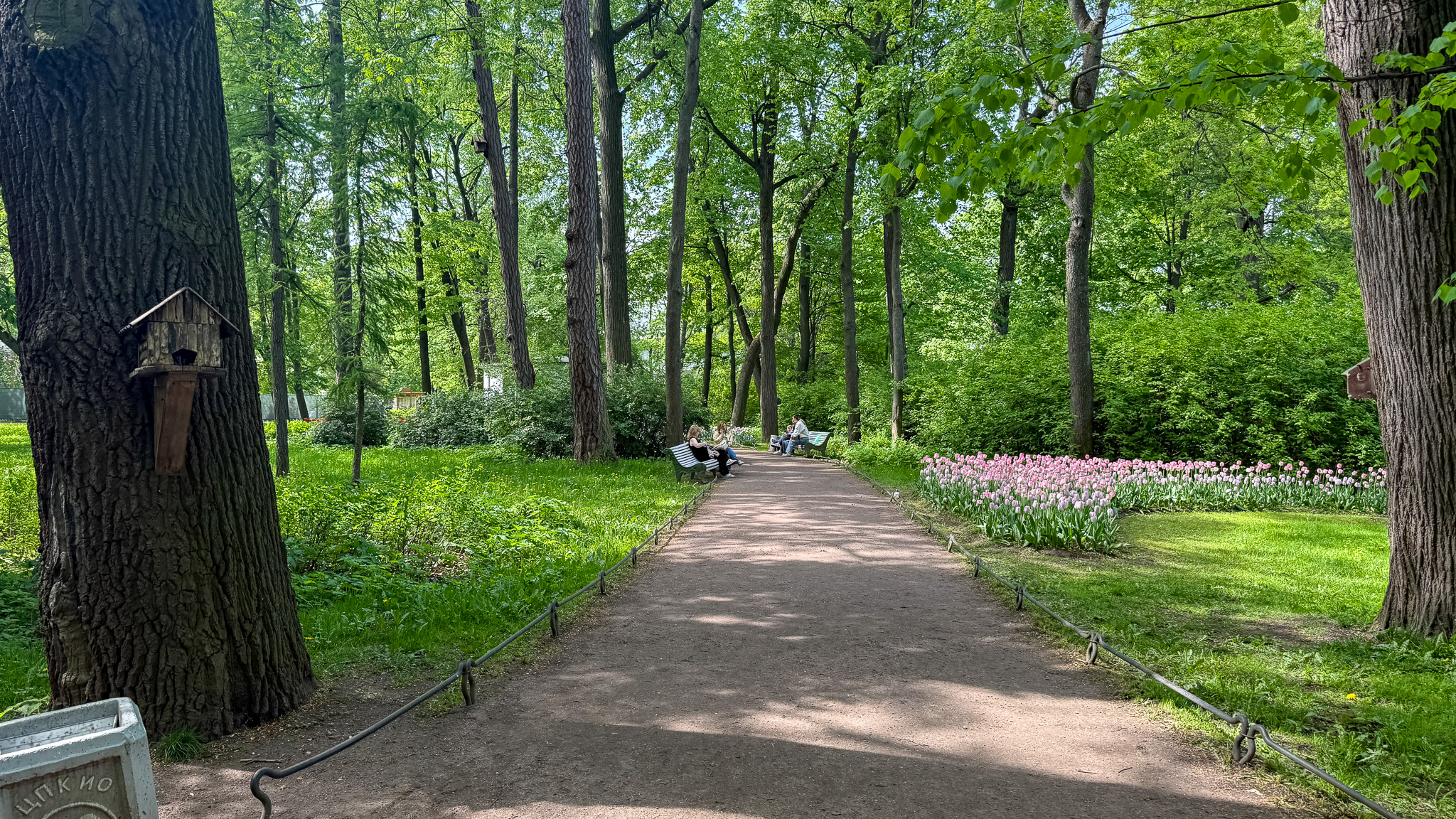 Фотография объекта