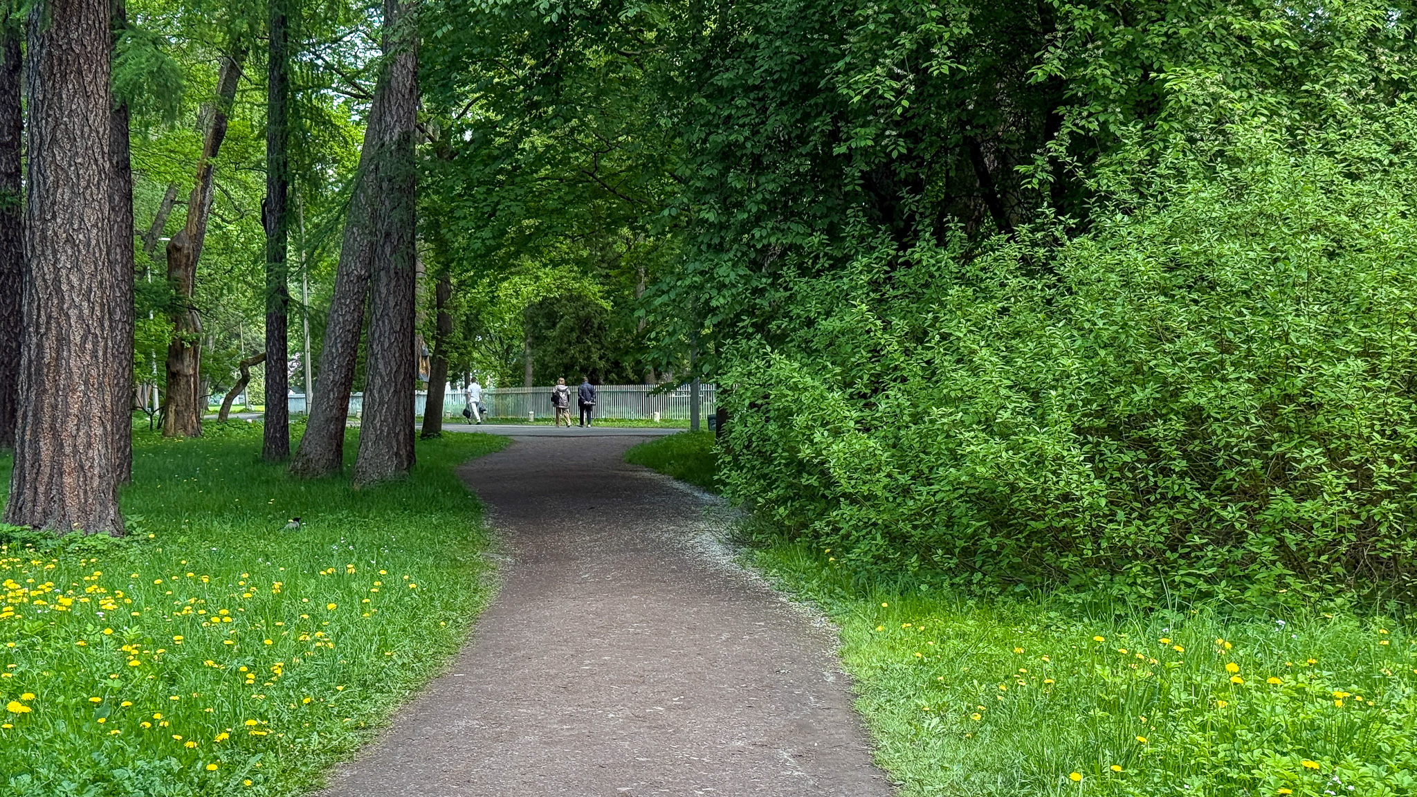 Фотография объекта